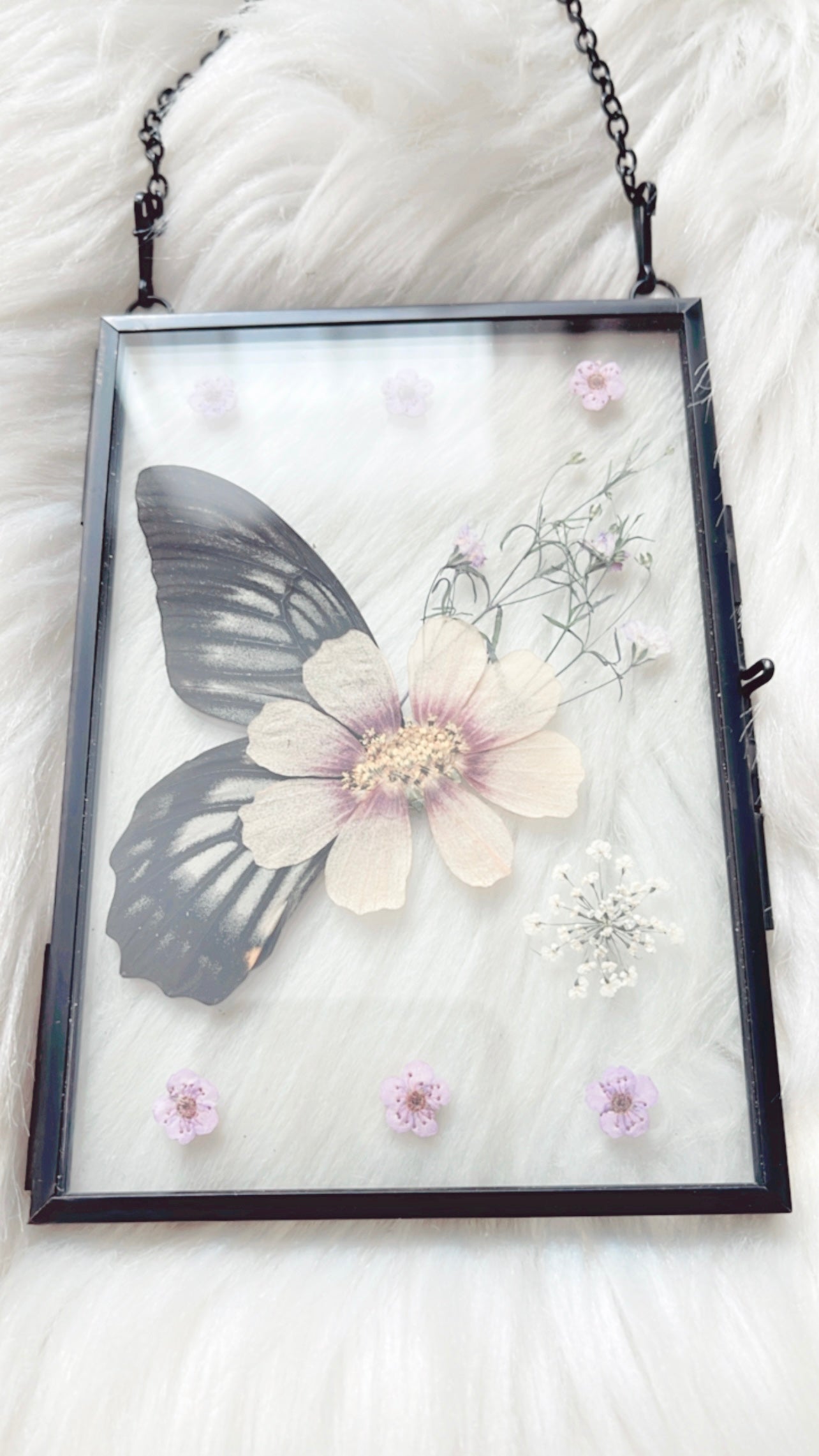 Isla Butterfly Floral Frame