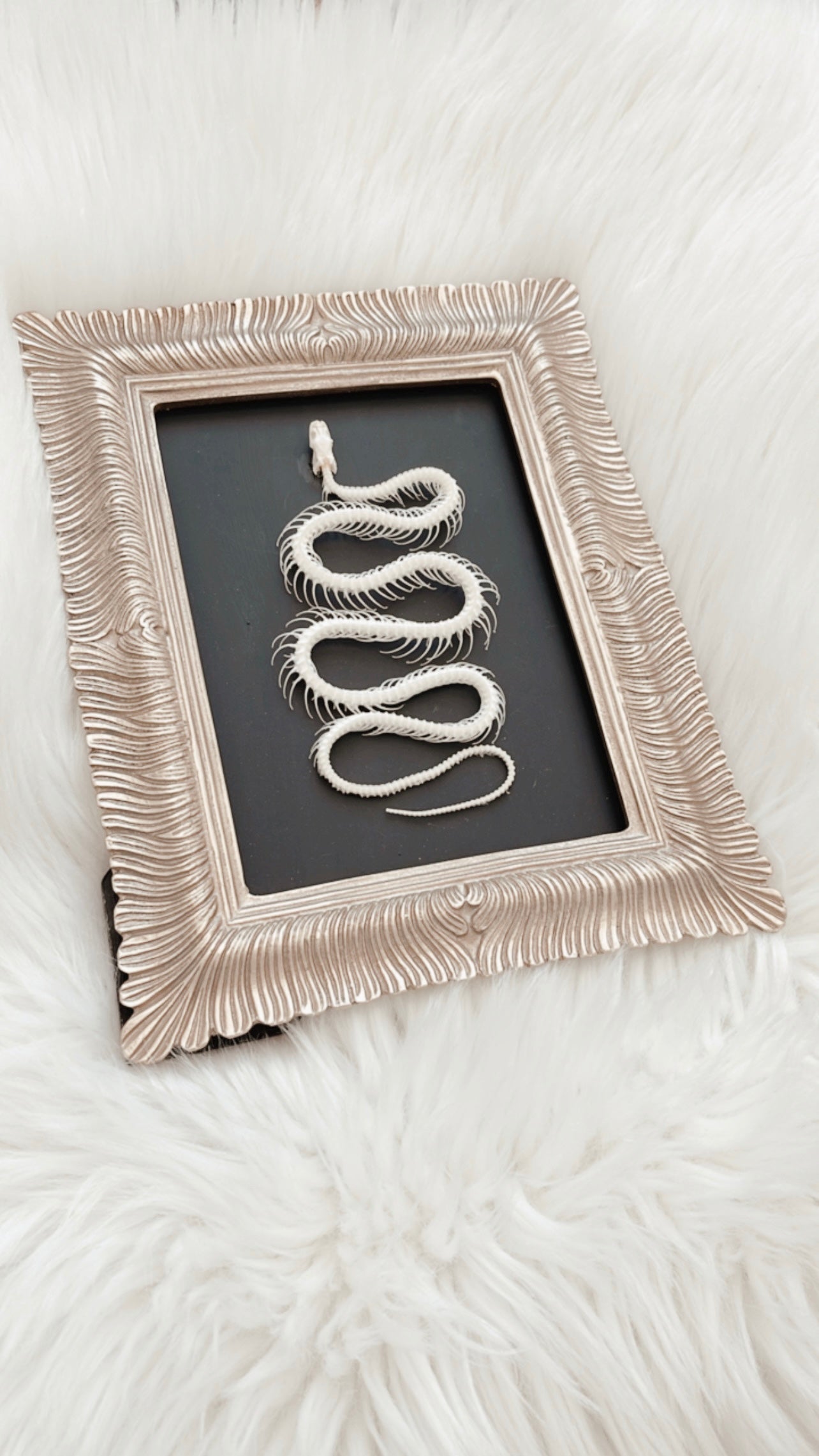 Jasper Snake Frame