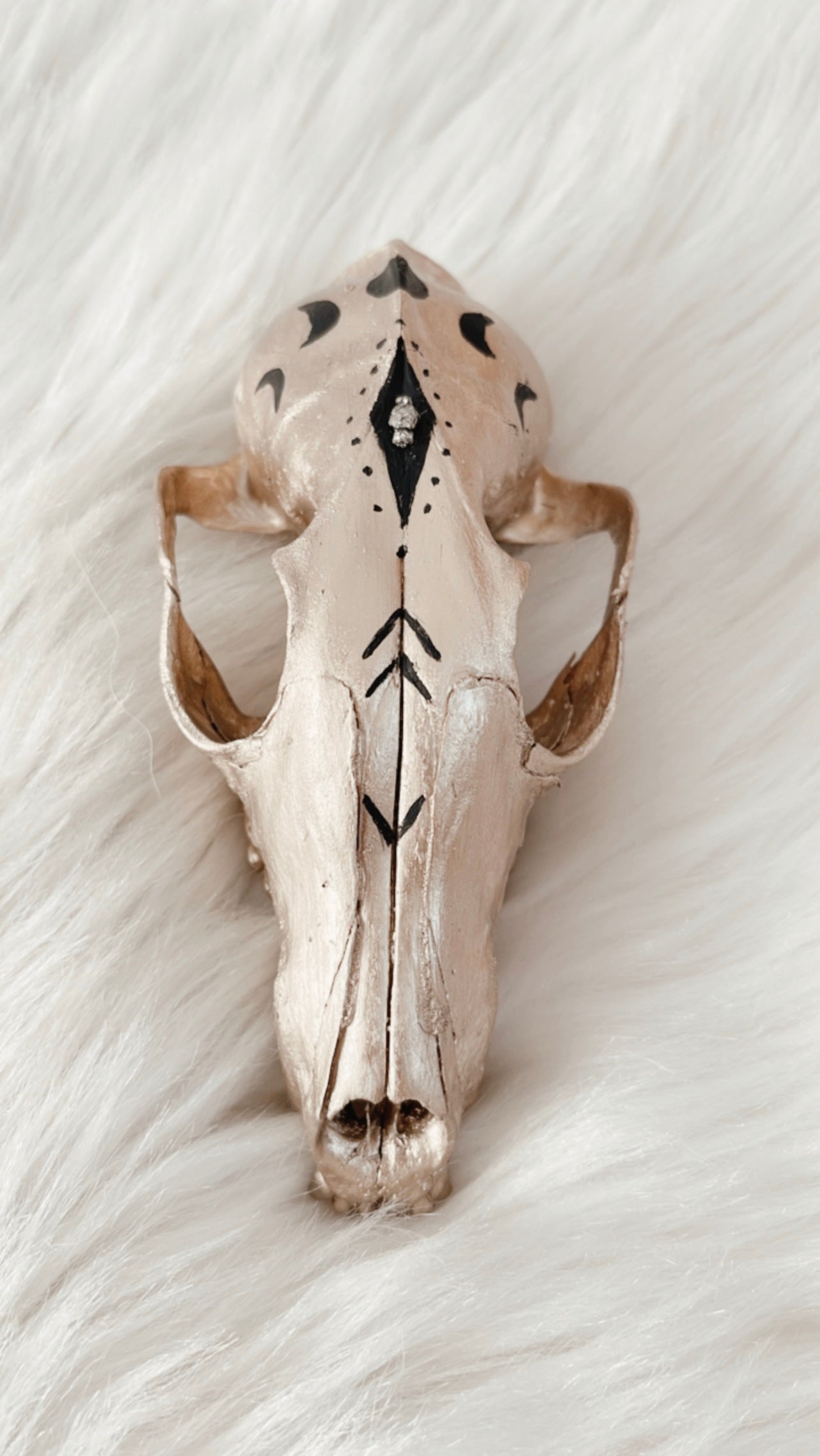 Jax Fox Skull