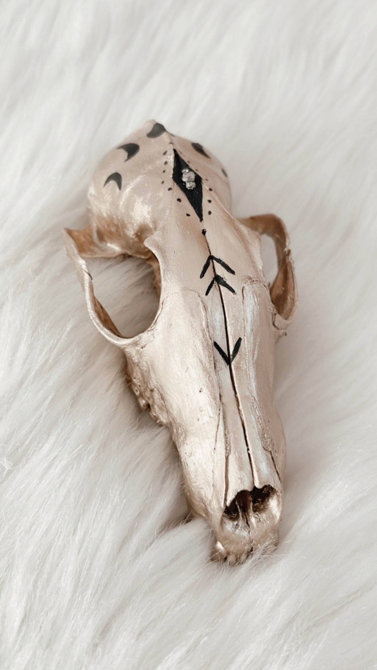 Jax Fox Skull