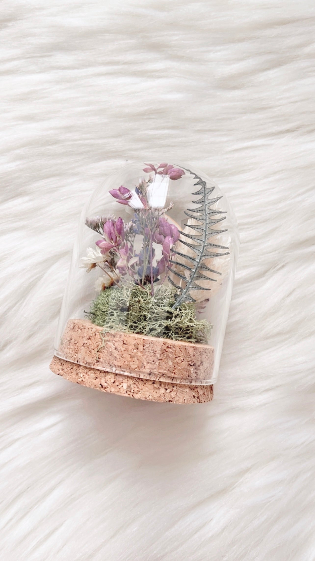Jess Terrarium