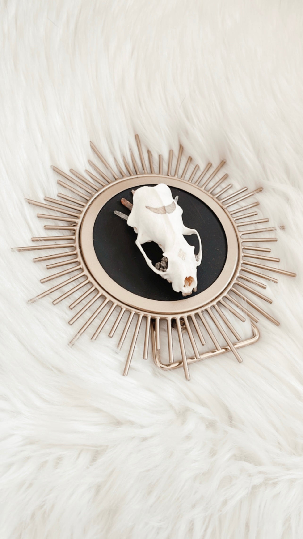 Joelle Mink Sunburst Brass Frame
