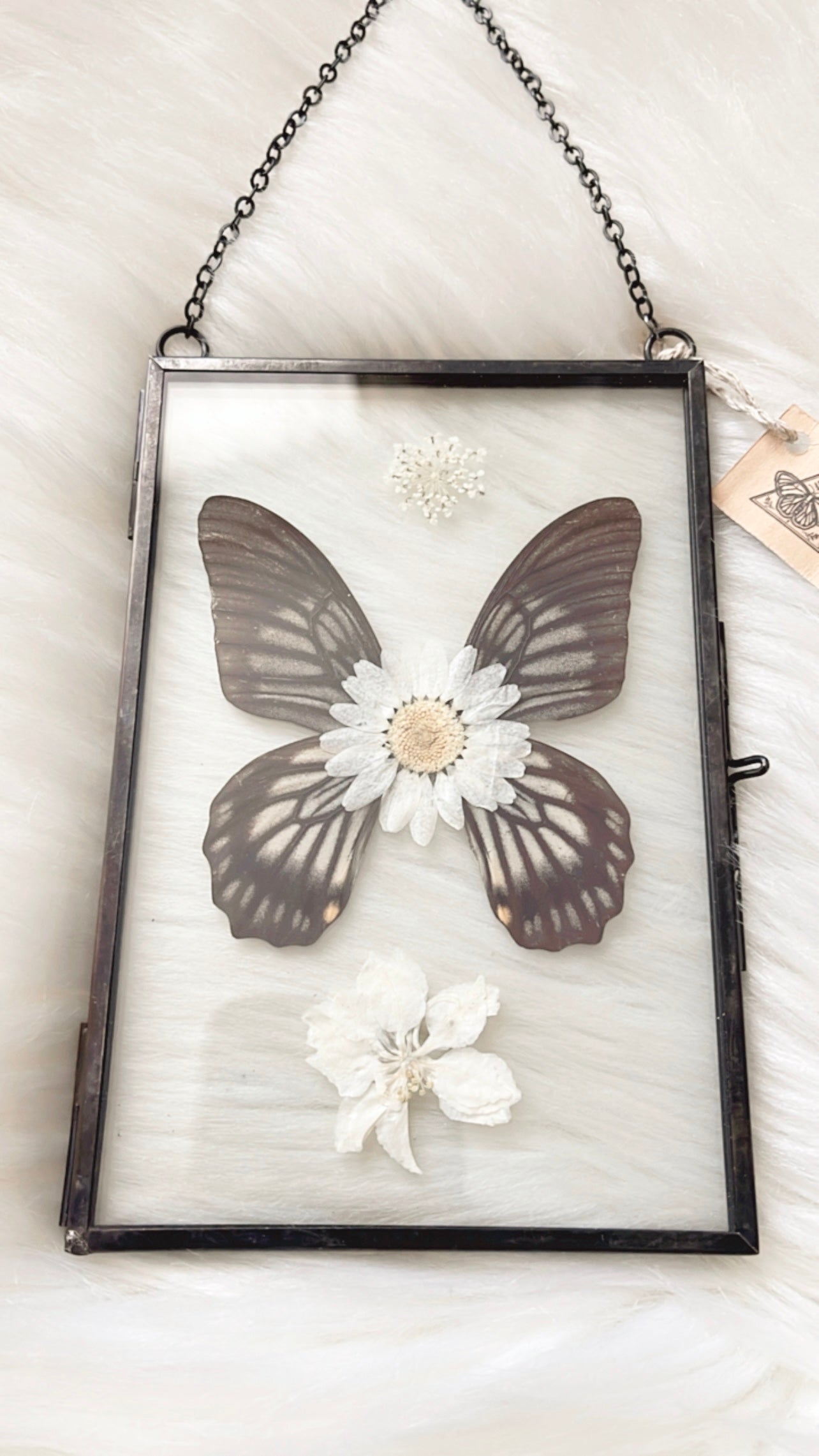 Josephine Butterfly Floral Frame <4x6in>