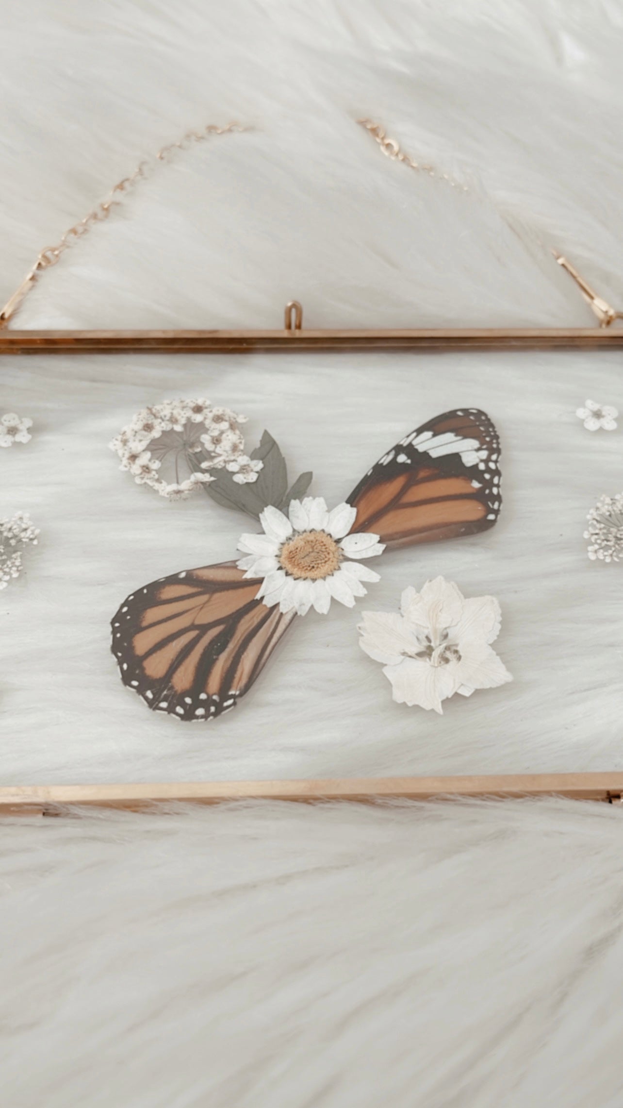 Josephine Butterfly Floral Frame