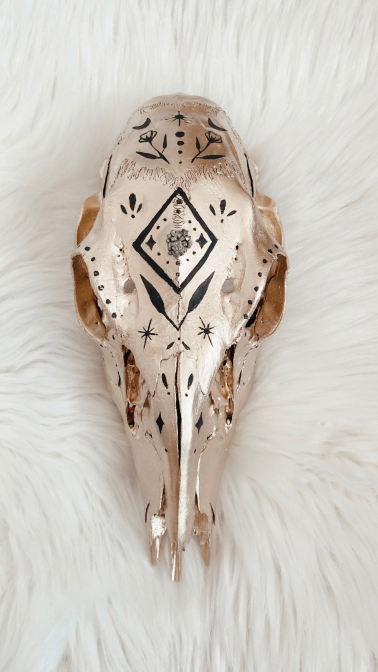 Jude Deer Skull