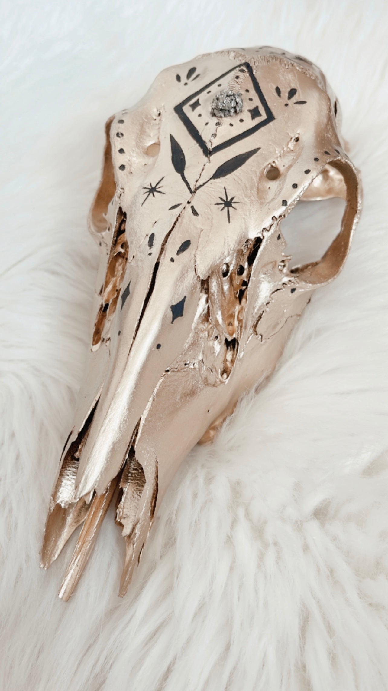 Jude Deer Skull