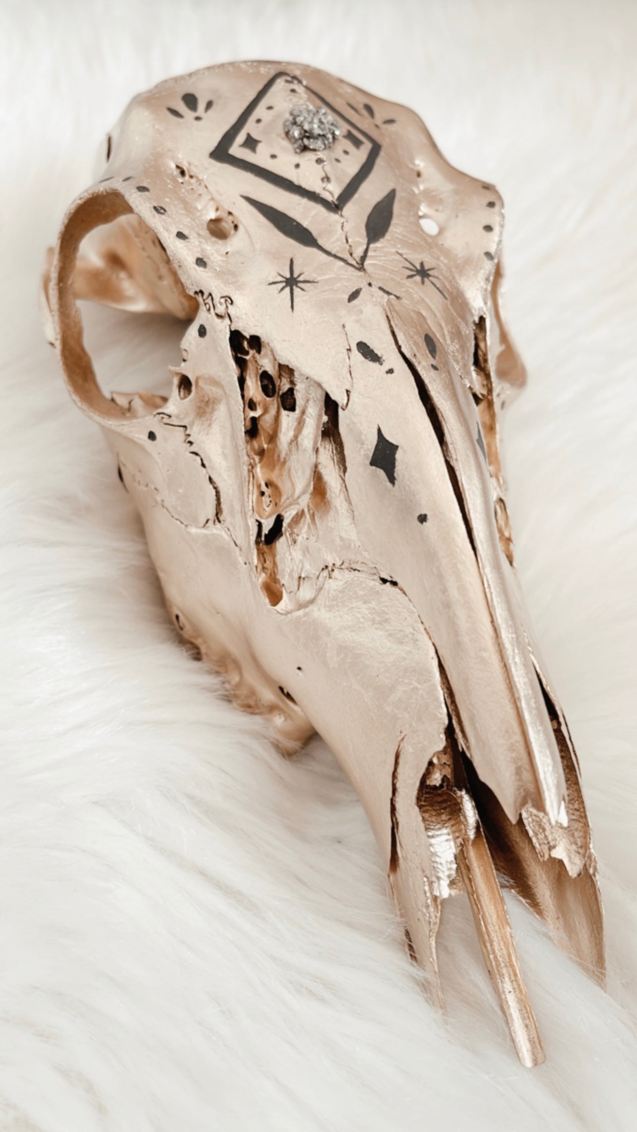 Jude Deer Skull