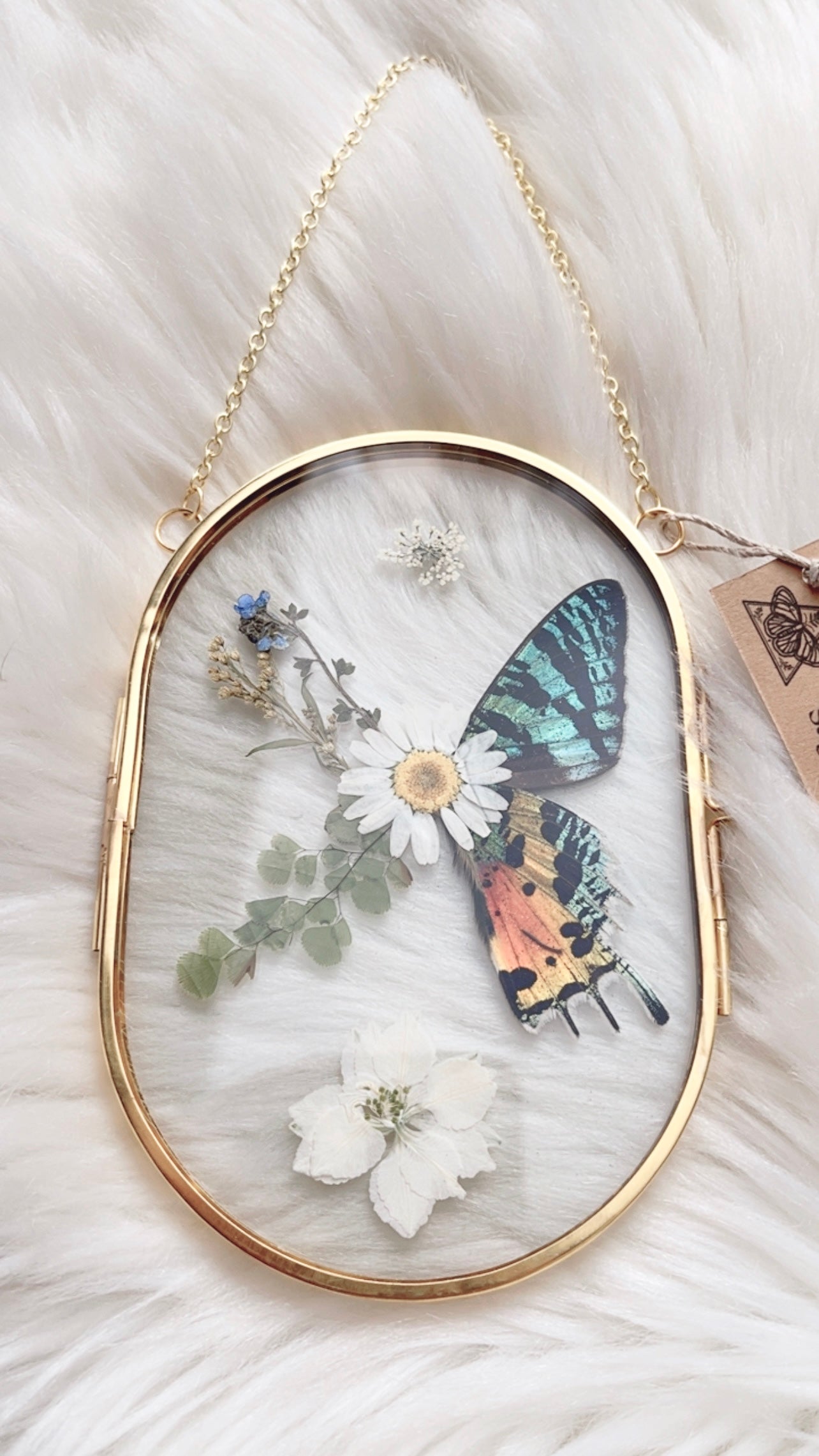 Jules Moth Floral Frame <4x6in>