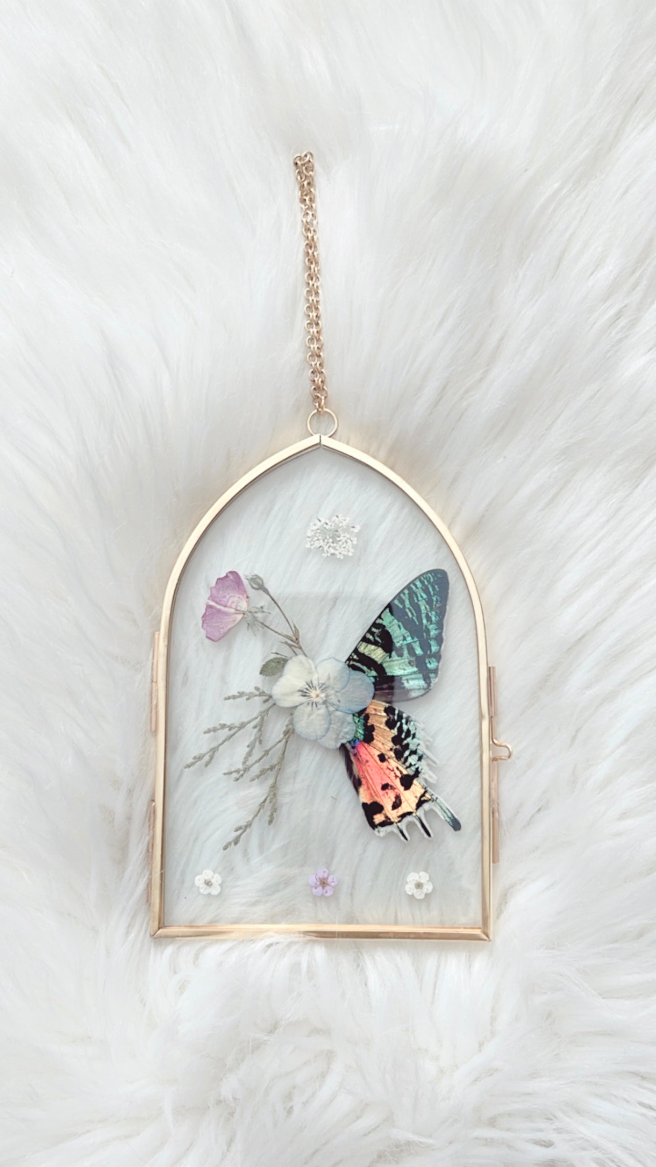 Juniper Moth Floral Frame