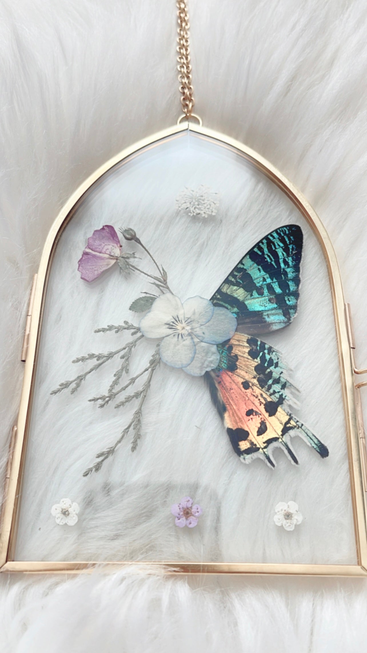Juniper Moth Floral Frame