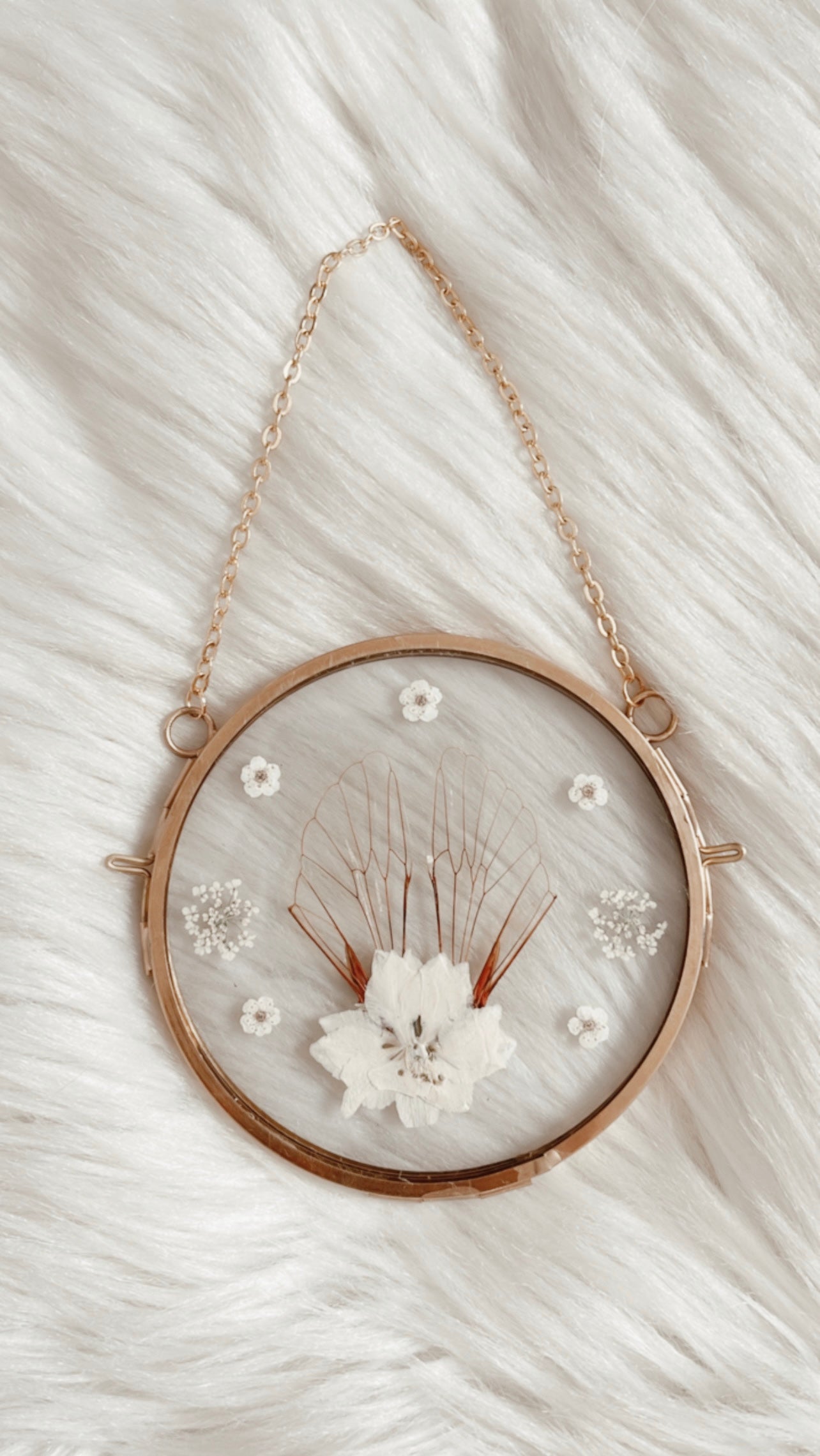 Juno Cicada Floral Frame