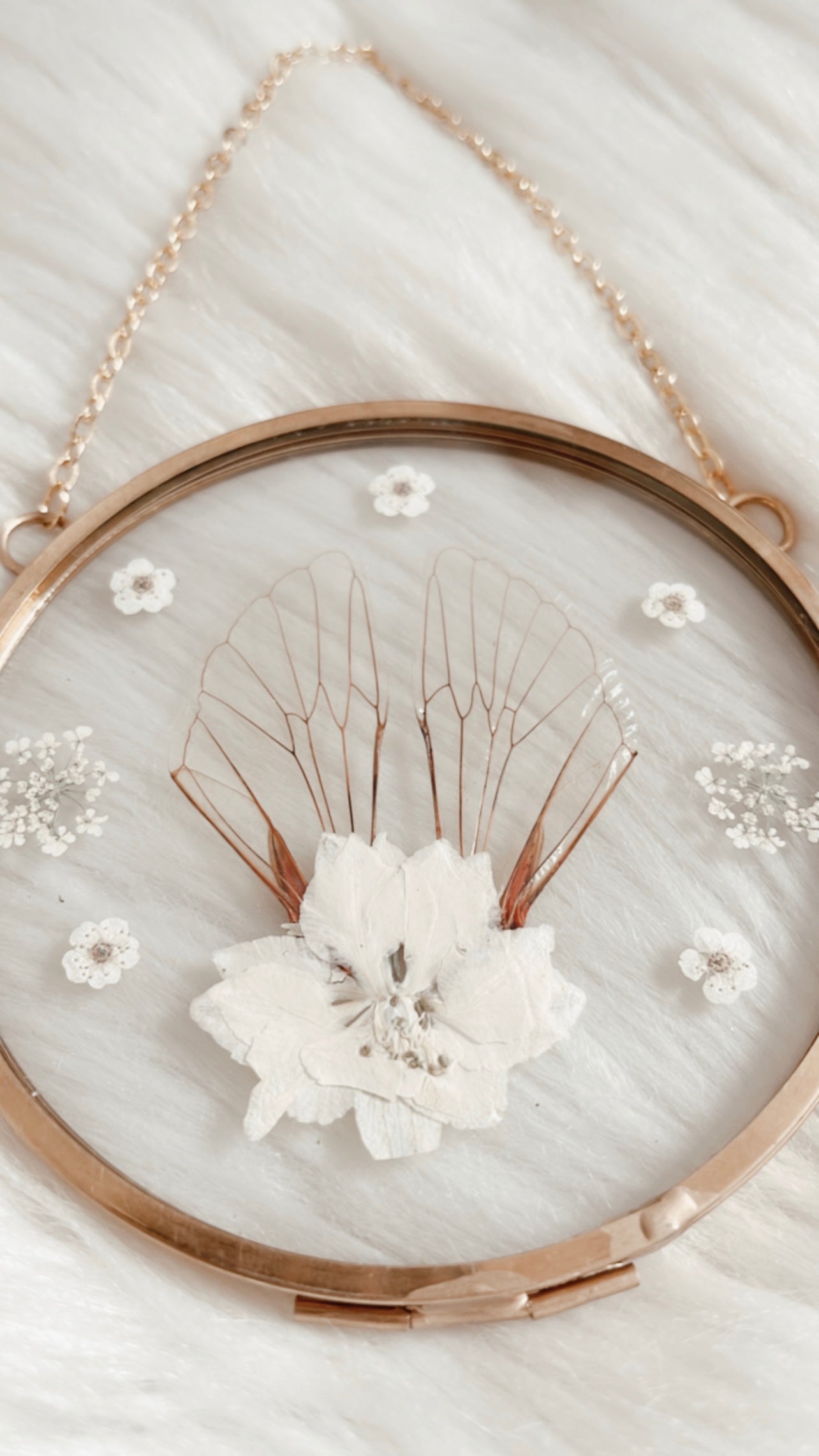Juno Cicada Floral Frame