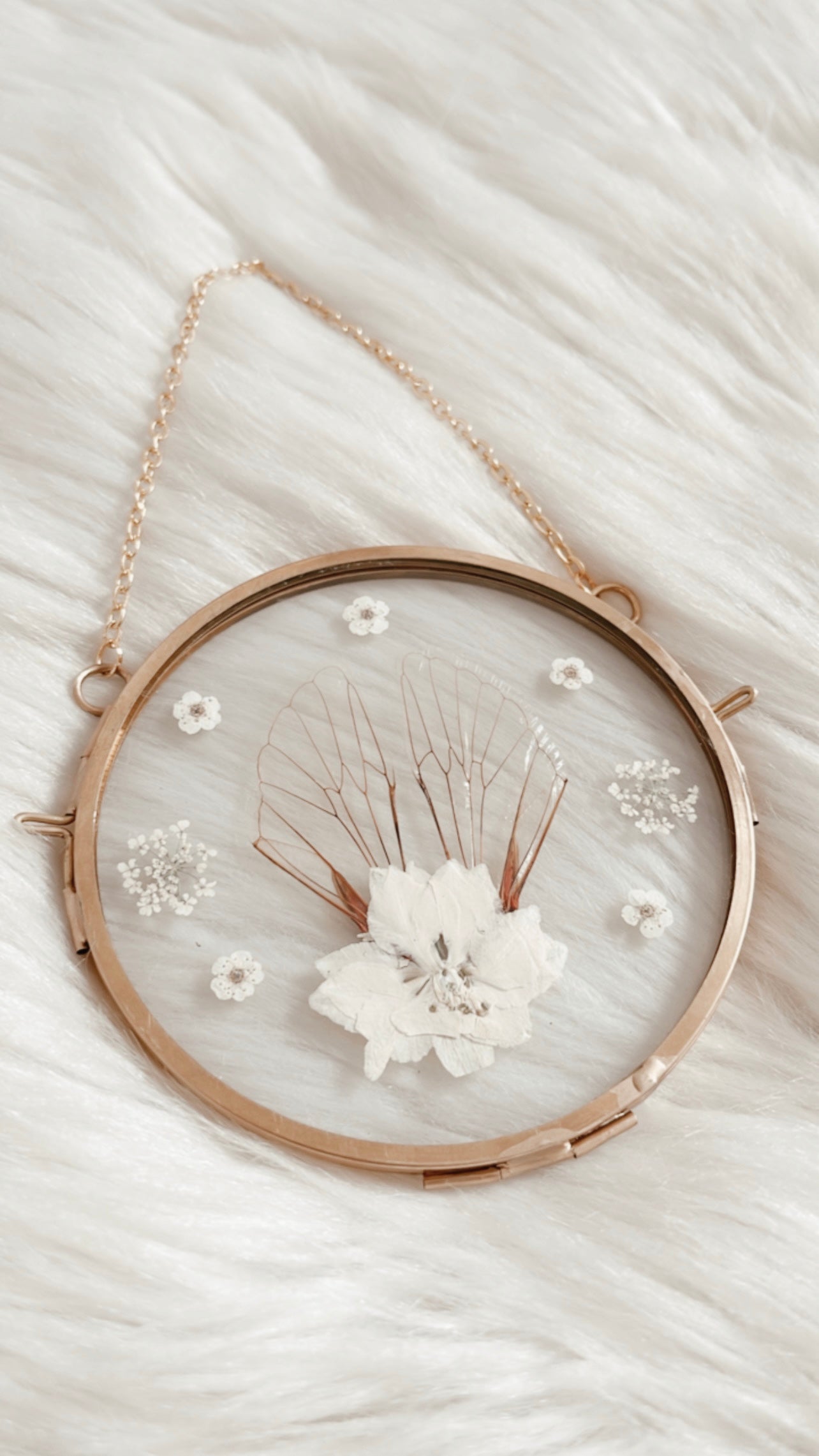 Juno Cicada Floral Frame