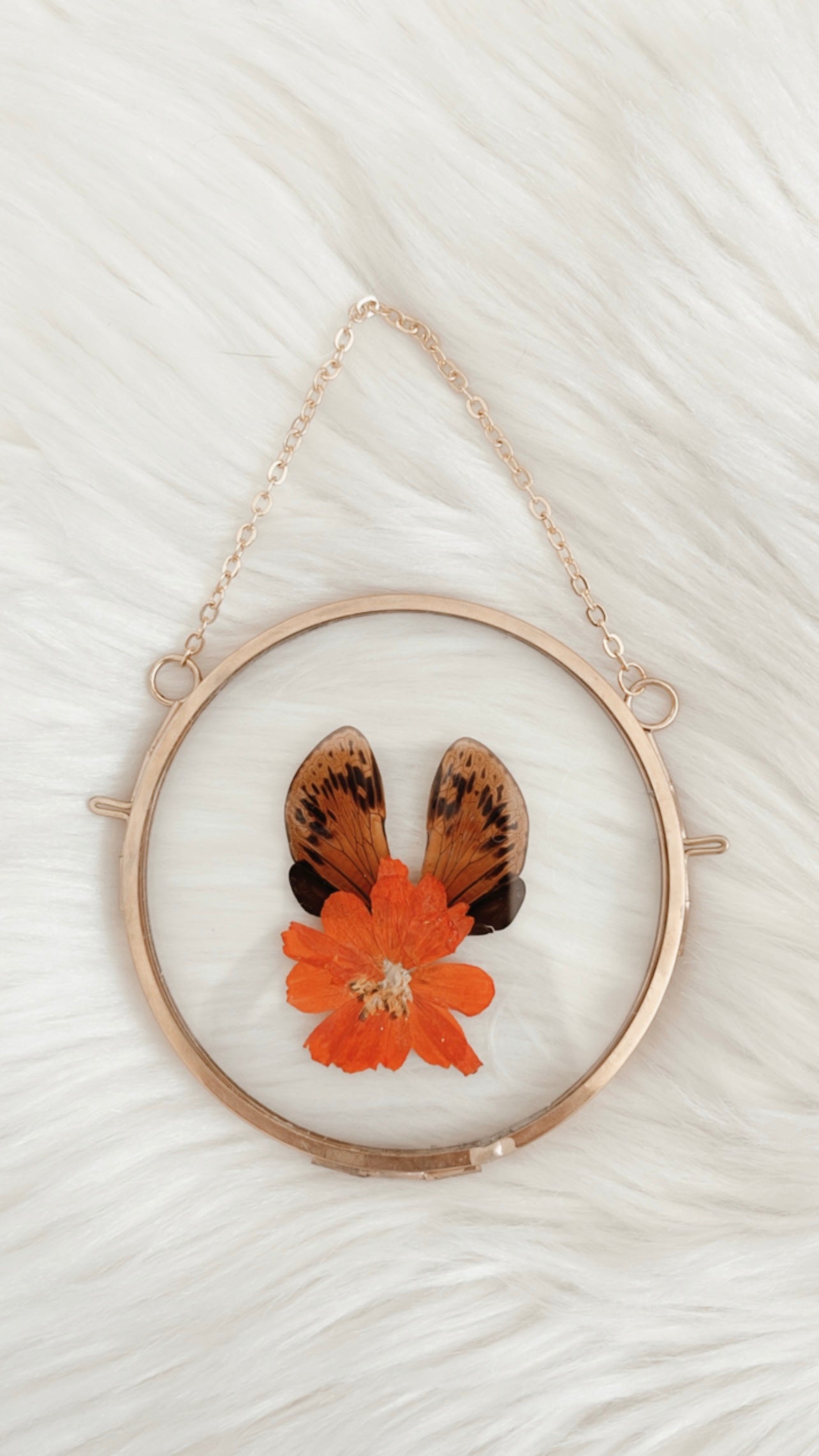 Juno Cicada Floral Frame