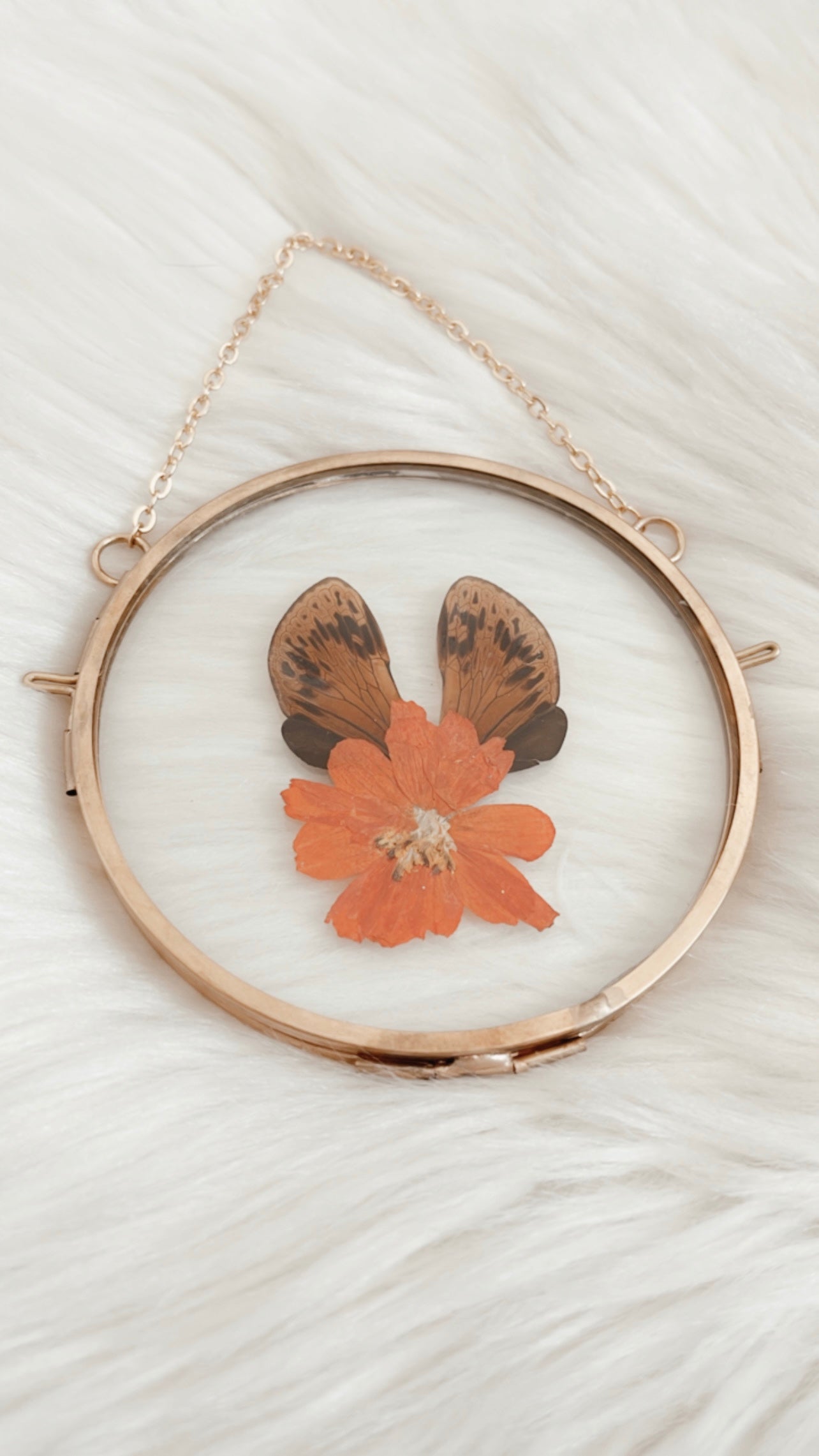 Juno Cicada Floral Frame