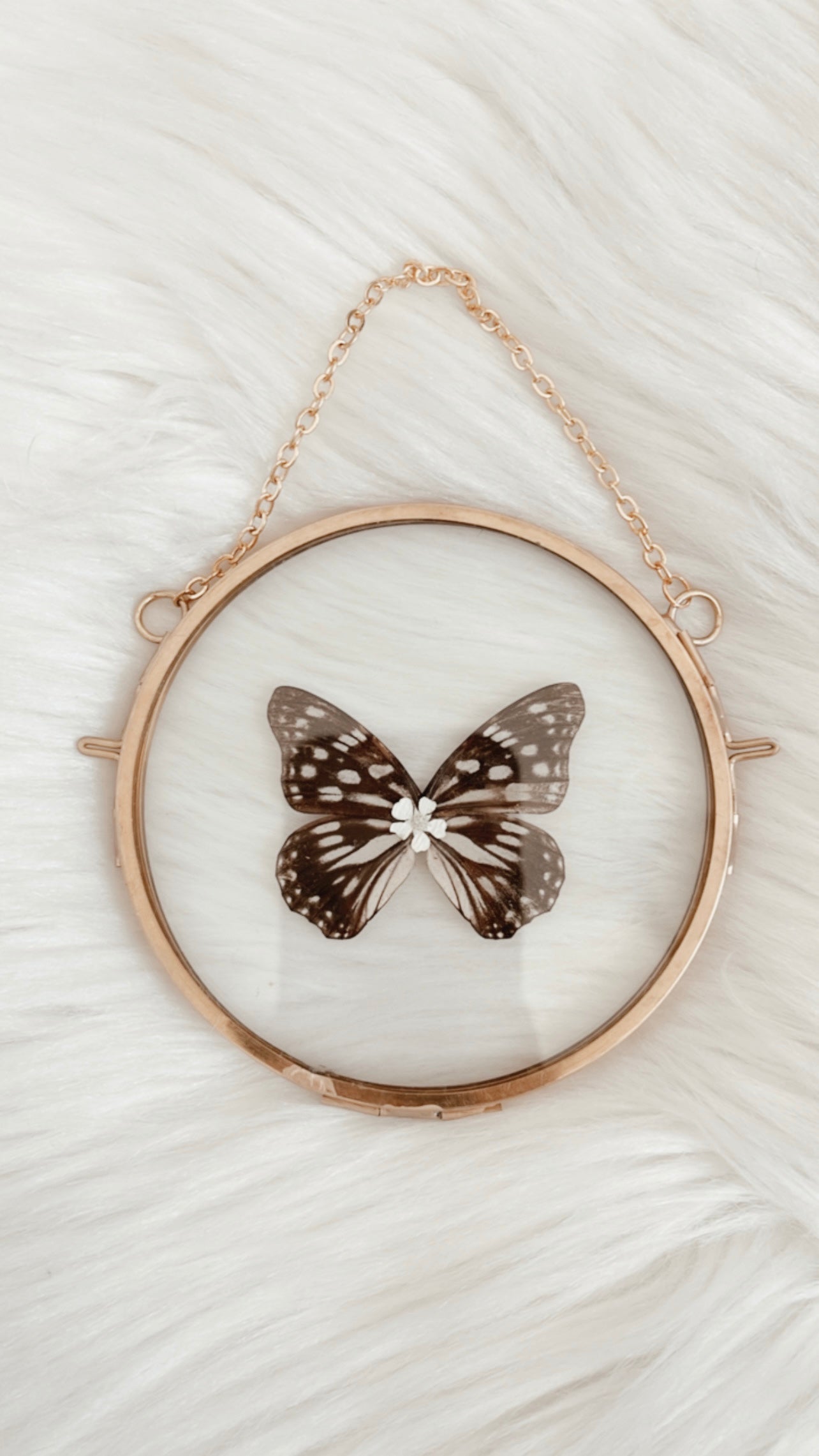 Kaedi Butterfly Floral Frame