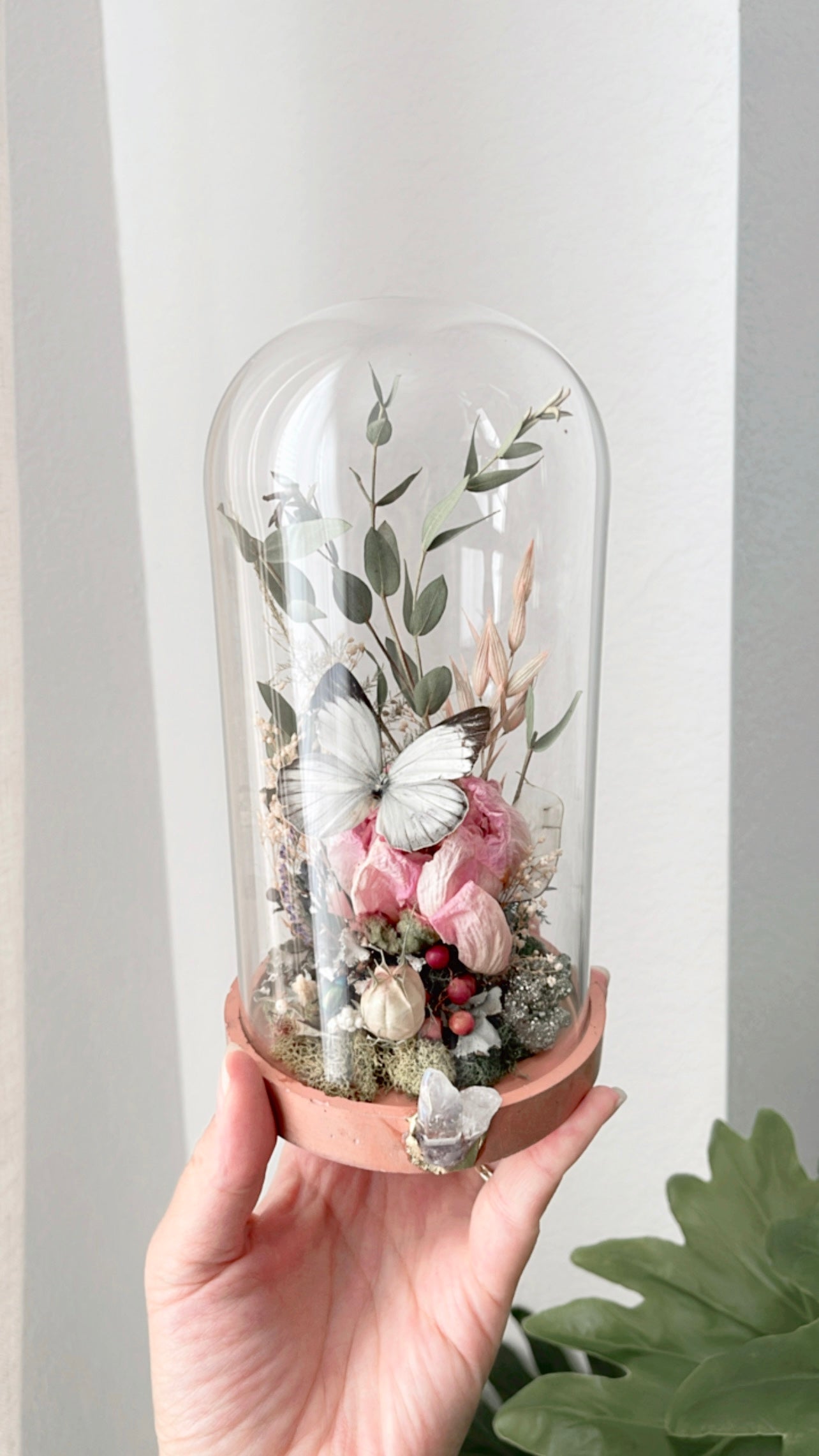 Karina Terrarium (LOCAL PICK UP ONLY)
