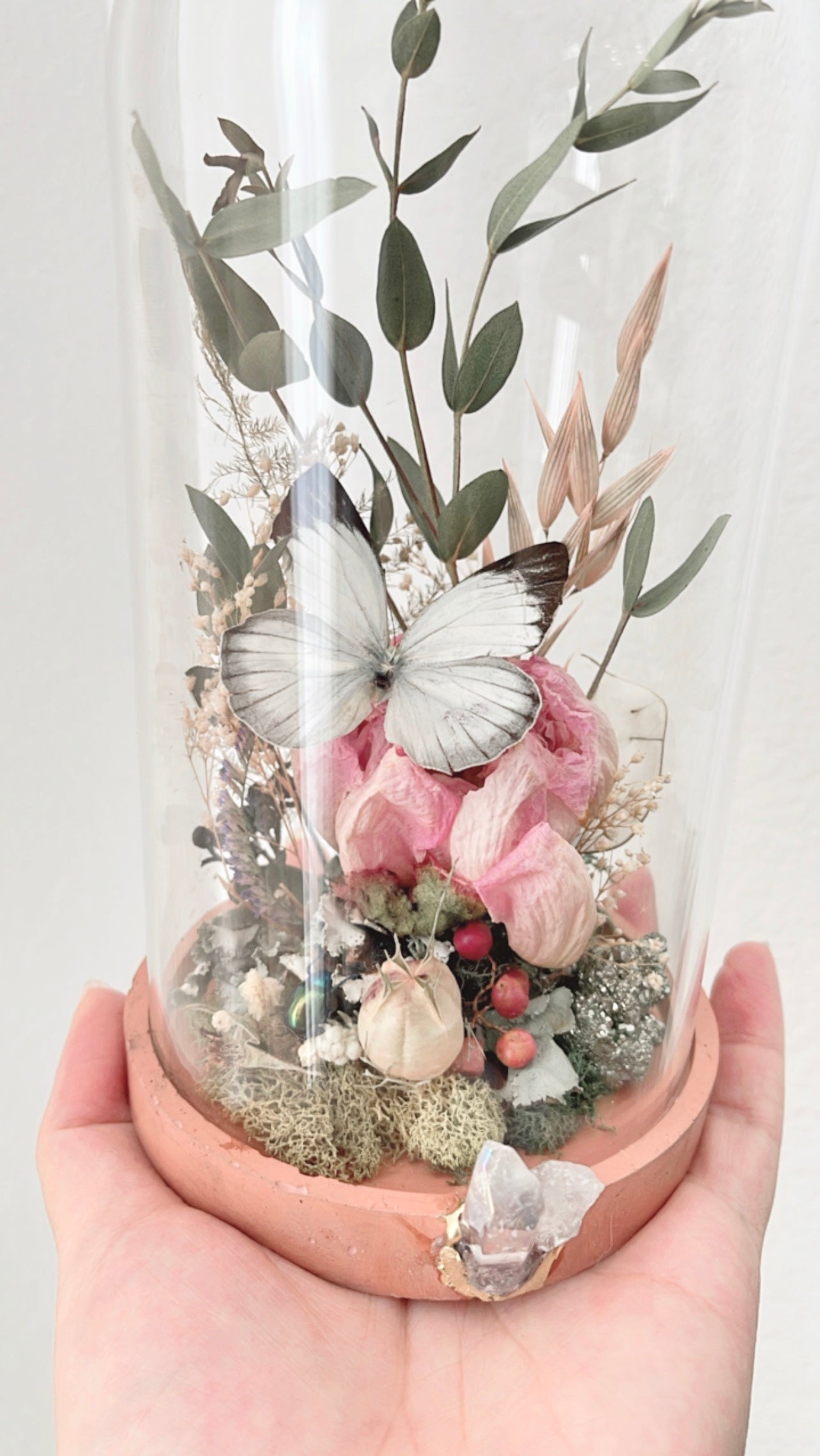 Karina Terrarium (LOCAL PICK UP ONLY)