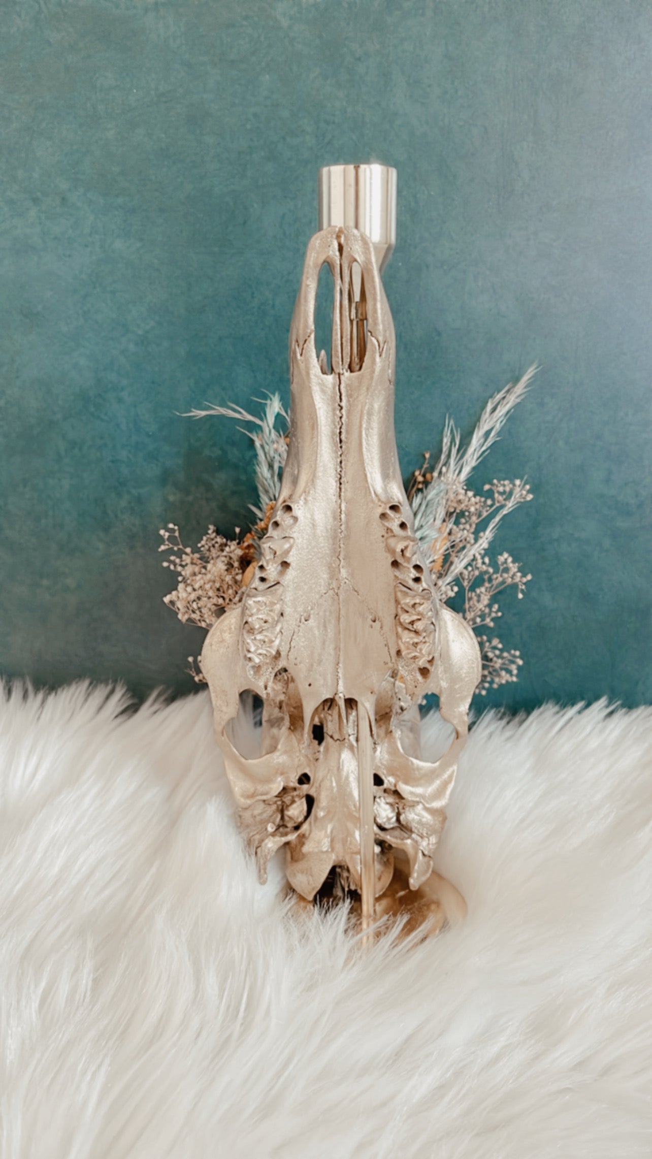 Kellani Deer Skull Candlestick Holder