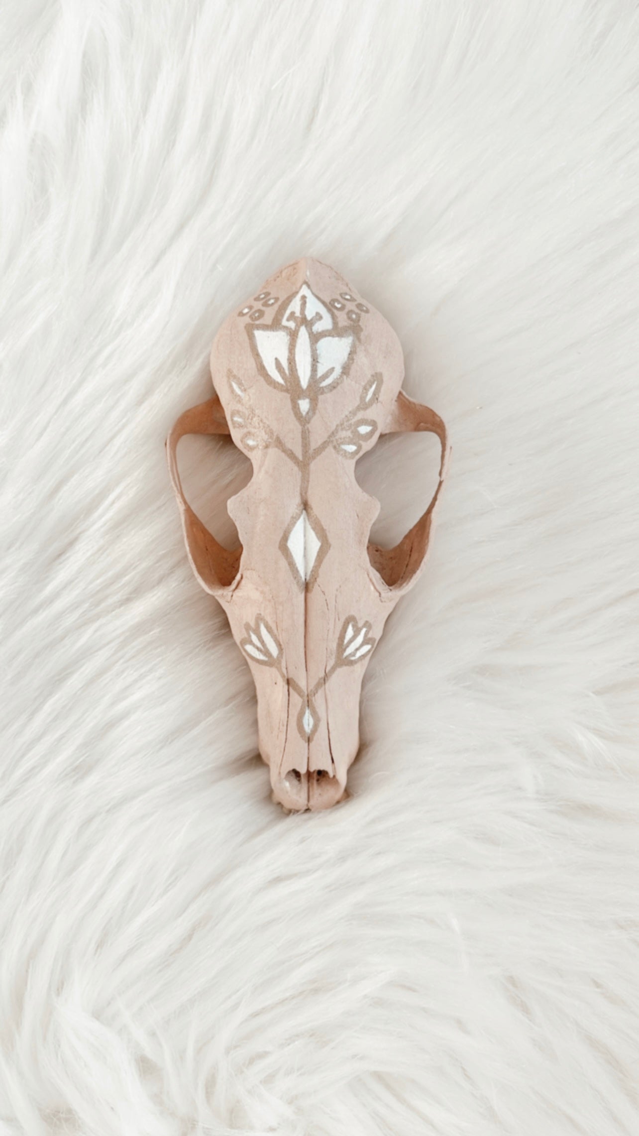 Knox Fox Skull
