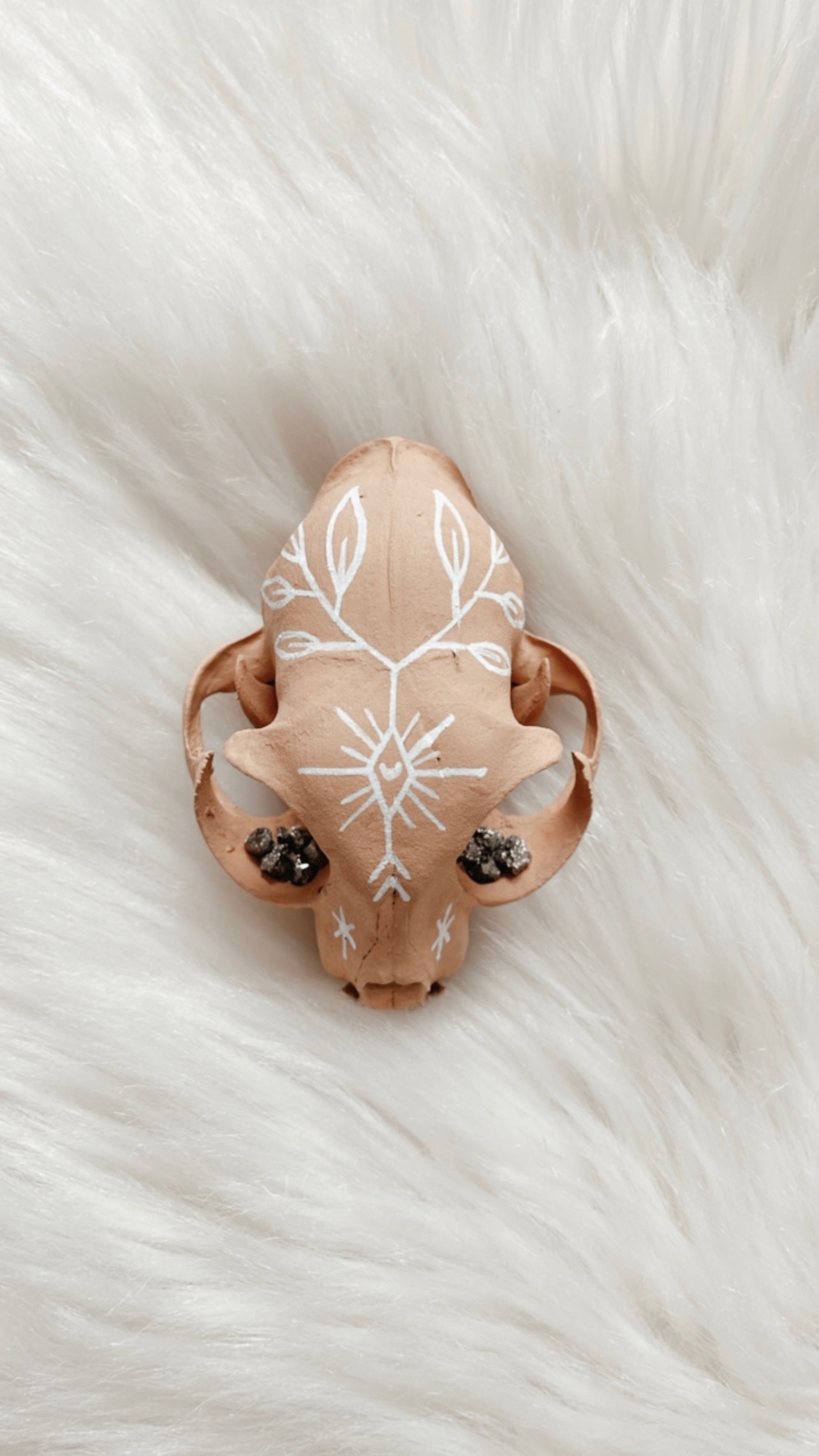Kylo Cat Skull