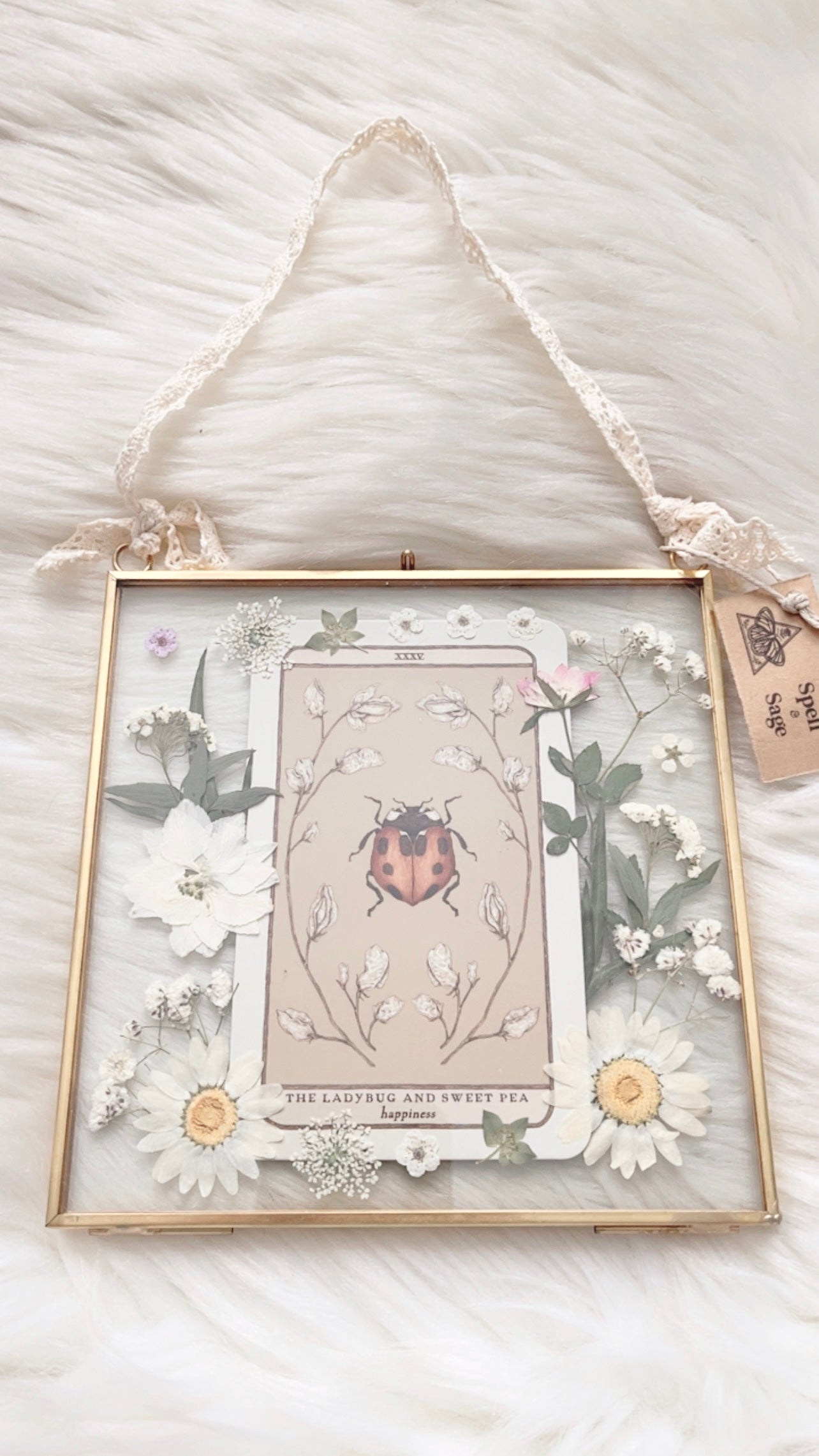 The Ladybug and Sweet Pea Oracle Floral Frame