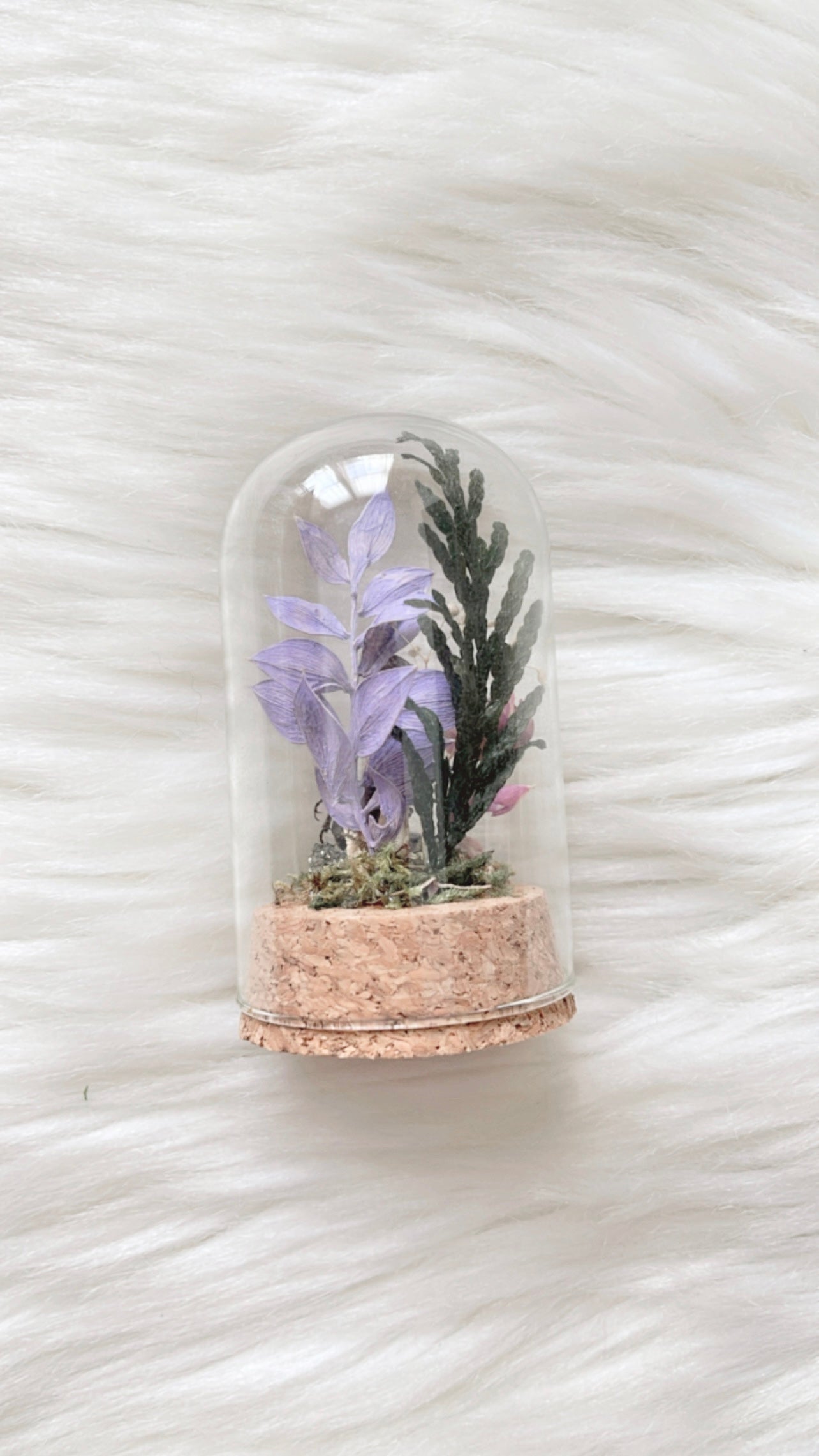 Lark Terrarium