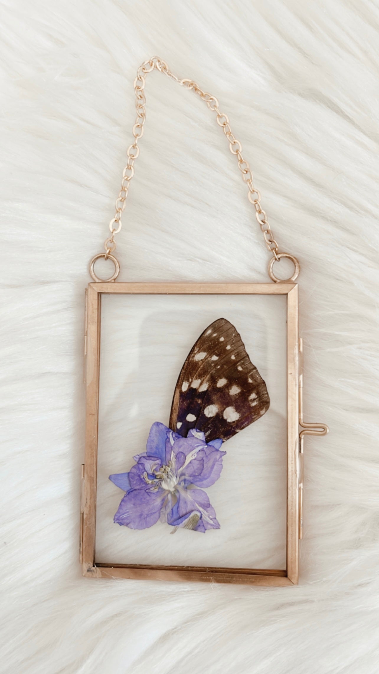 Laura Butterfly Floral Frame