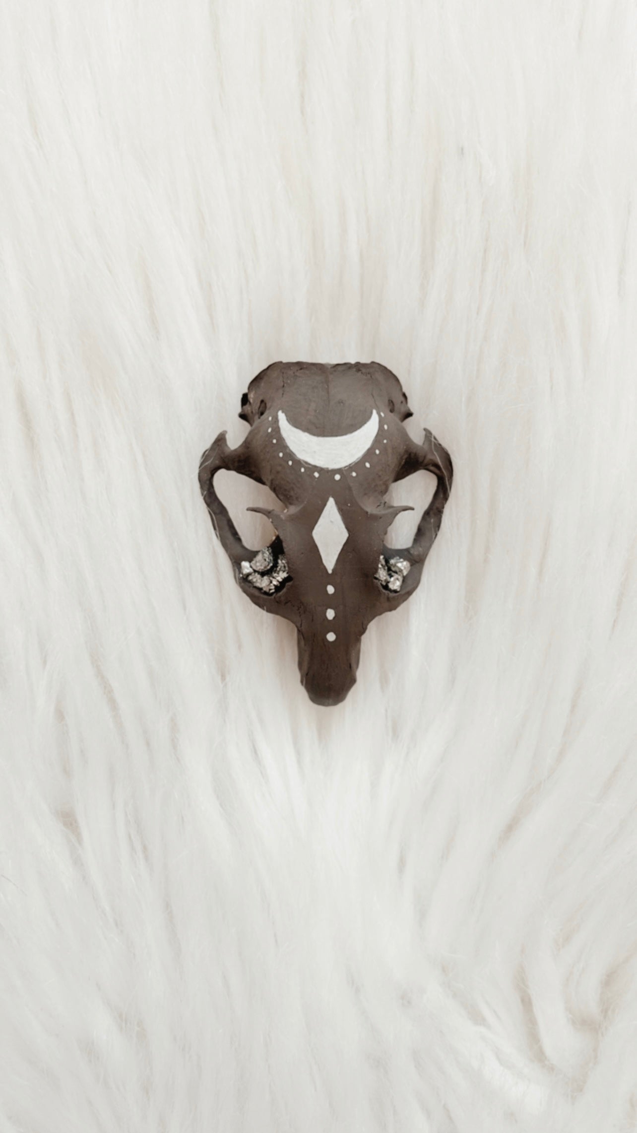 Laurent Squirrel Skull