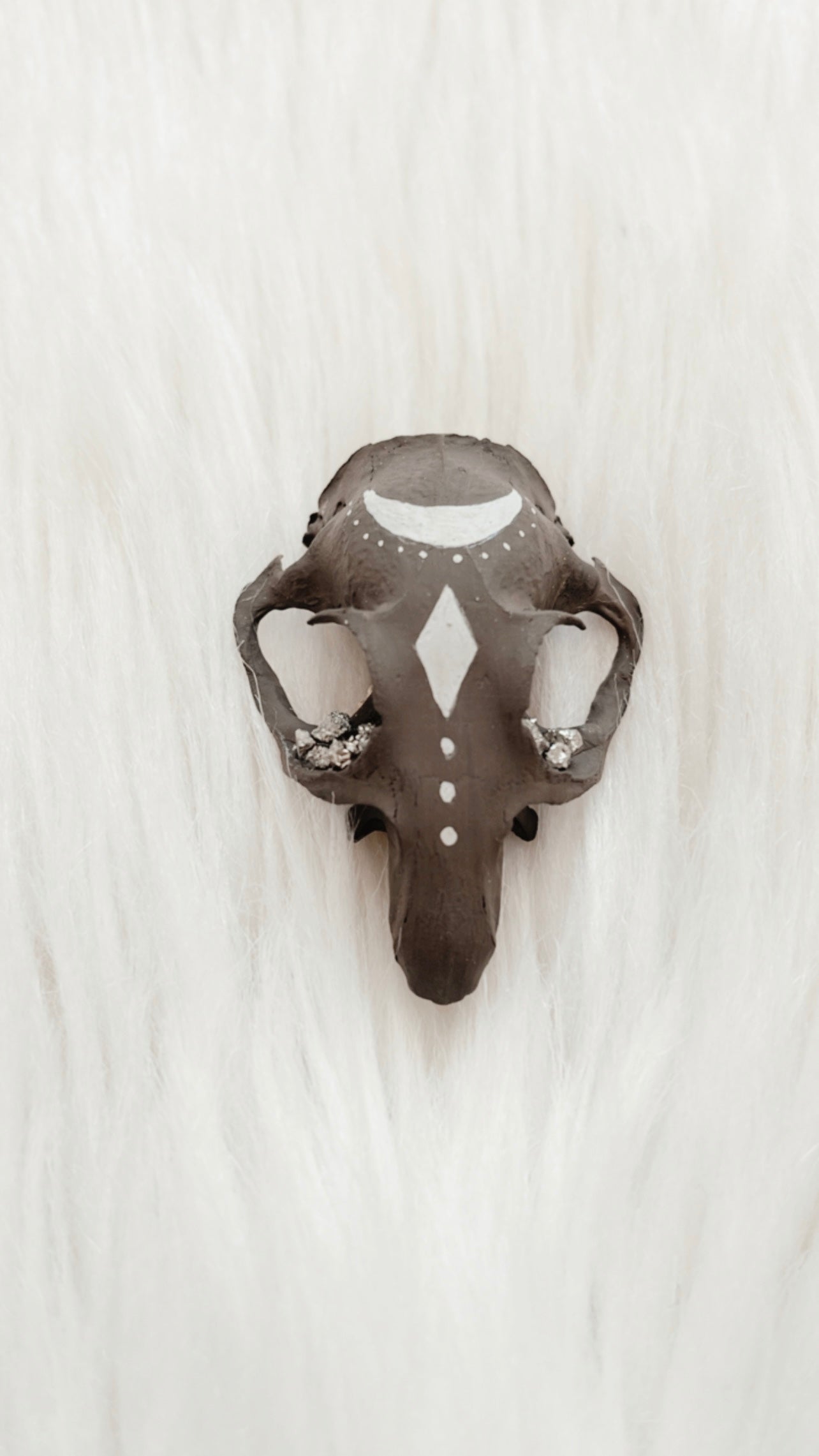 Laurent Squirrel Skull