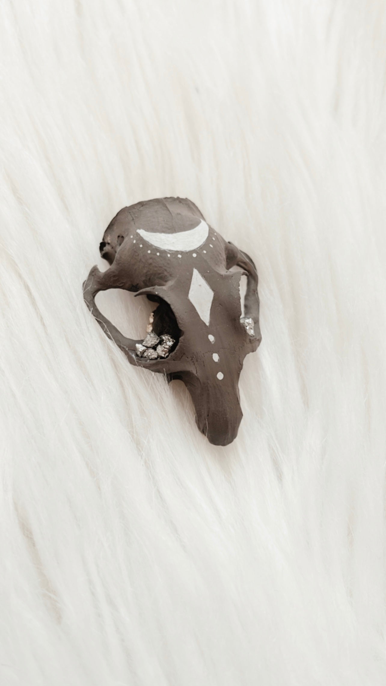 Laurent Squirrel Skull