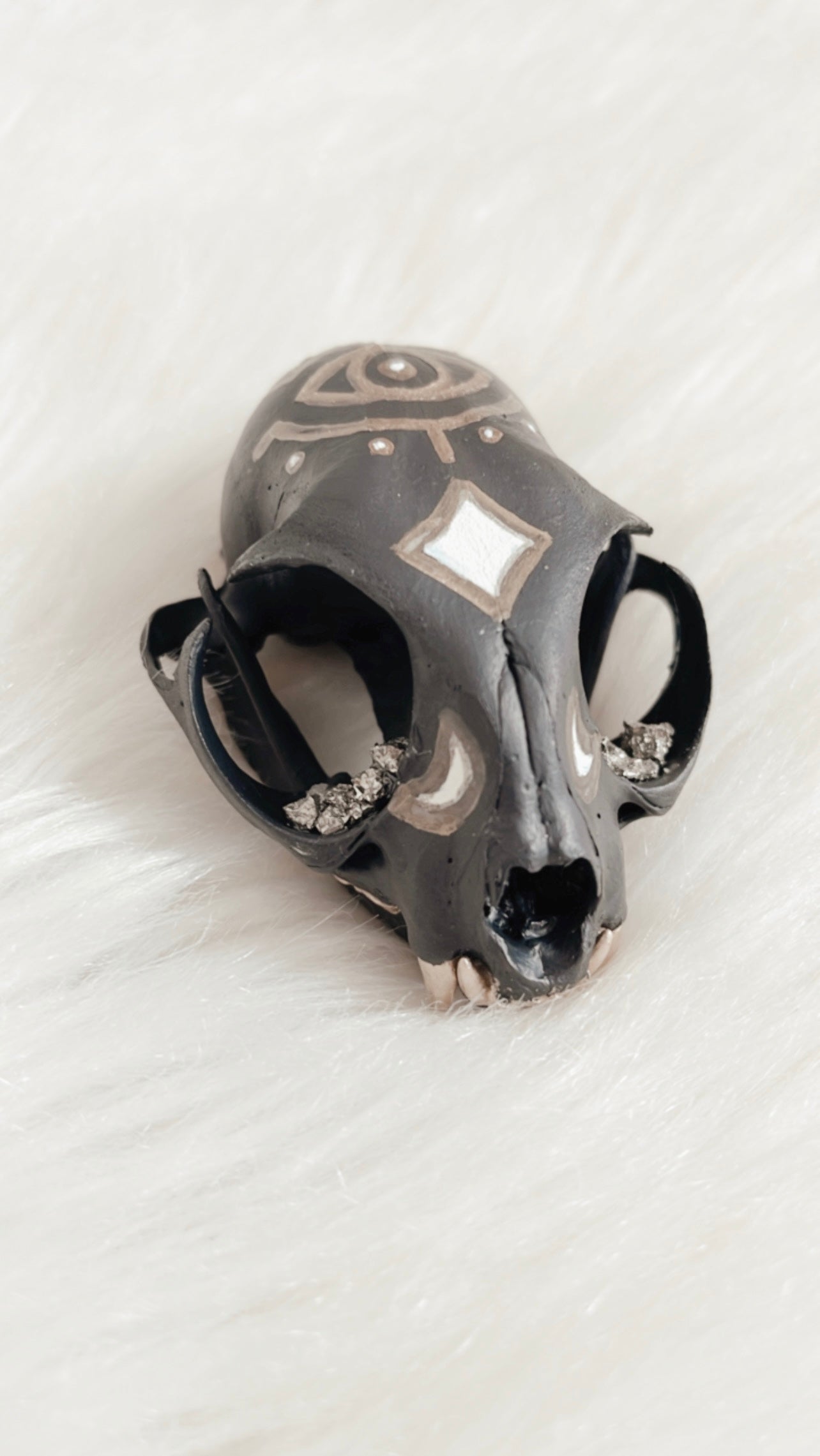 Lennon Cat Skull
