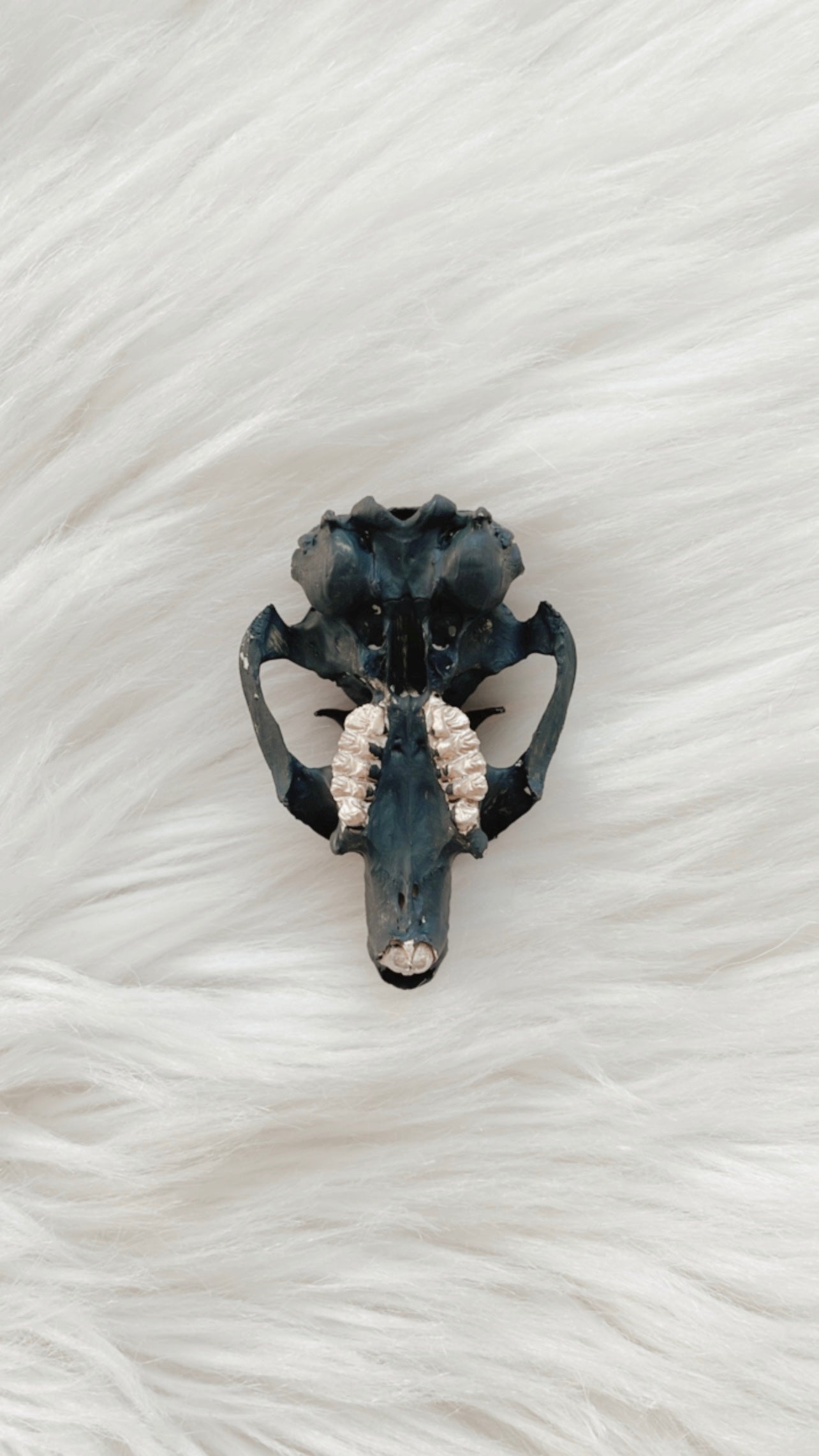 Lennon Squirrel Skull