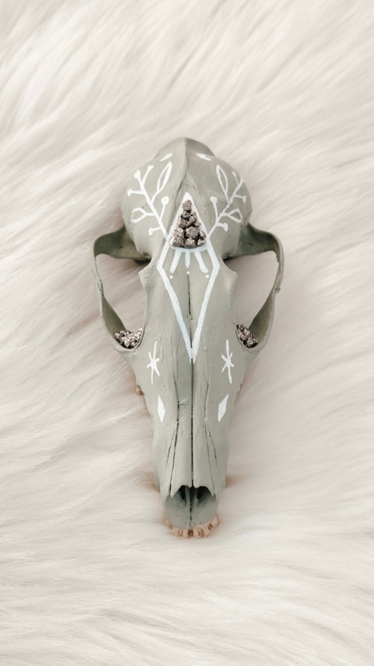 Letitia Fox Skull