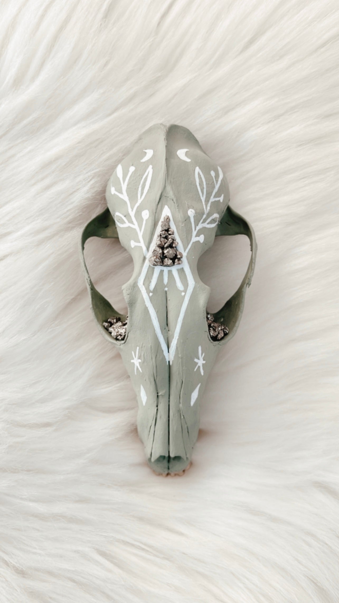 Letitia Fox Skull