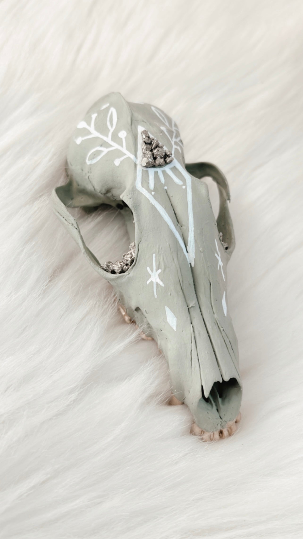 Letitia Fox Skull