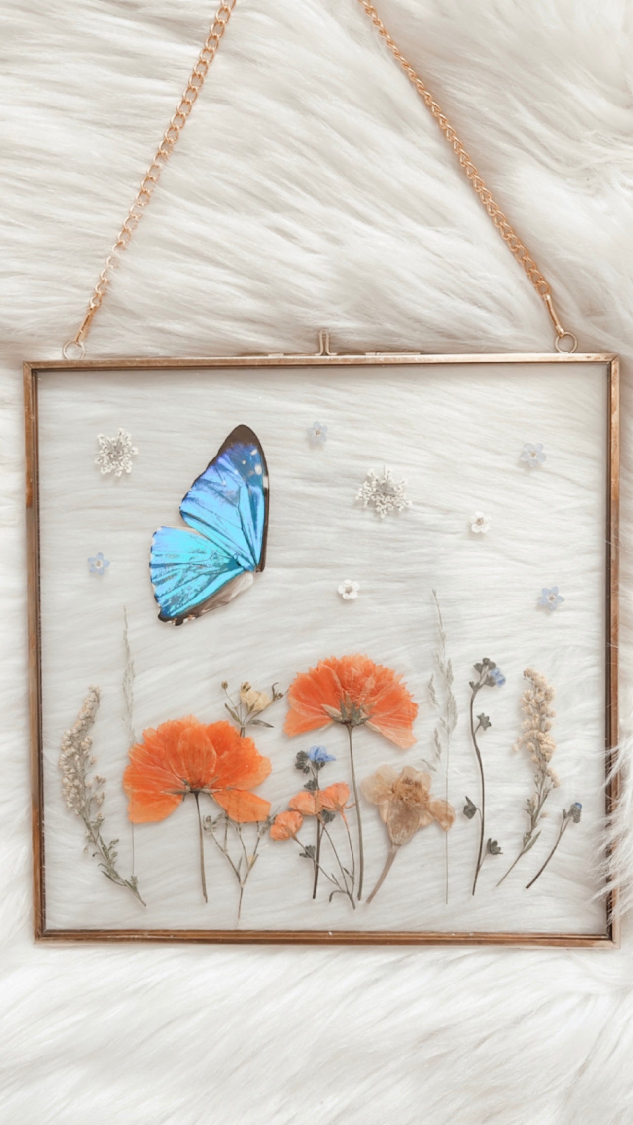 Lexi Butterfly Floral Frame <8x8in>