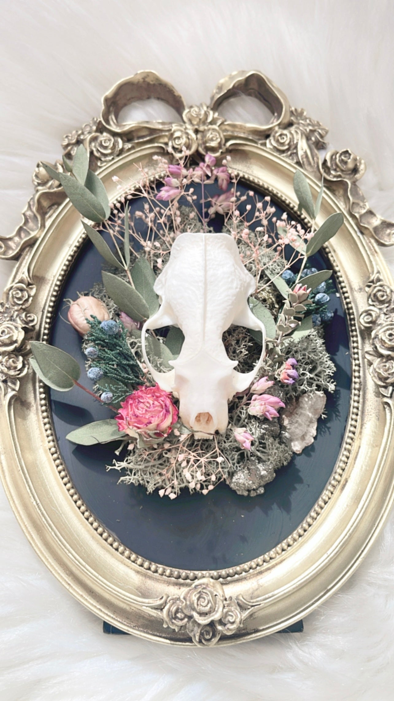 Libby Oddities Frame <Mink Skull>