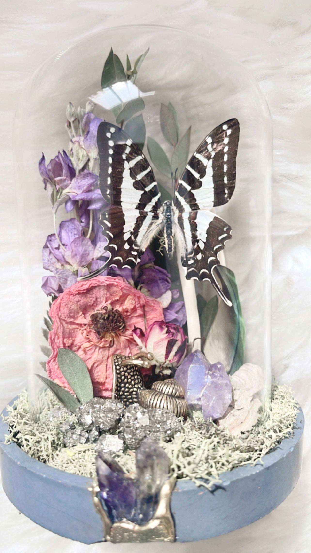 Lilith Terrarium <LOCAL PICK UP ONLY>
