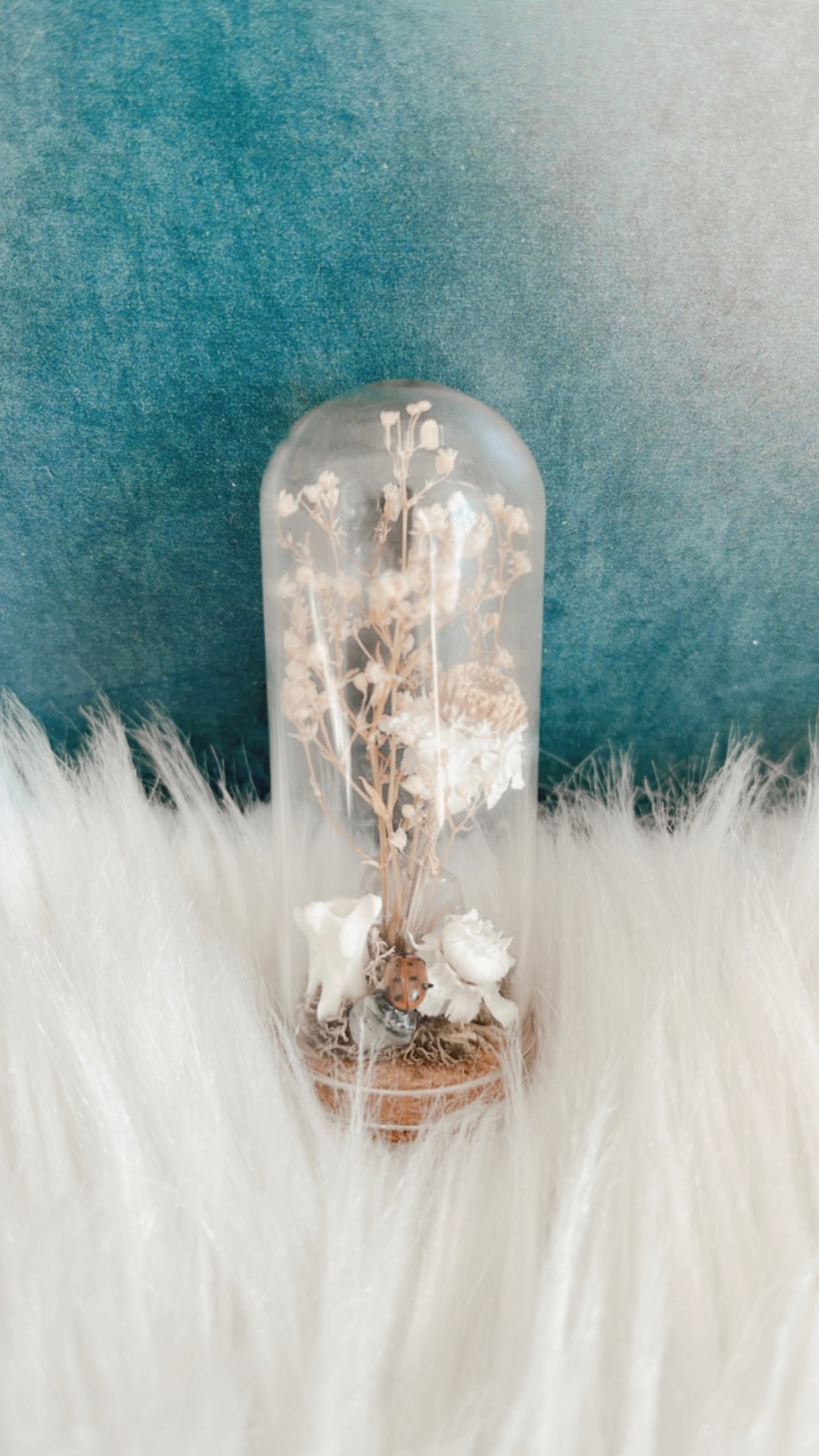 Lilly Terrarium
