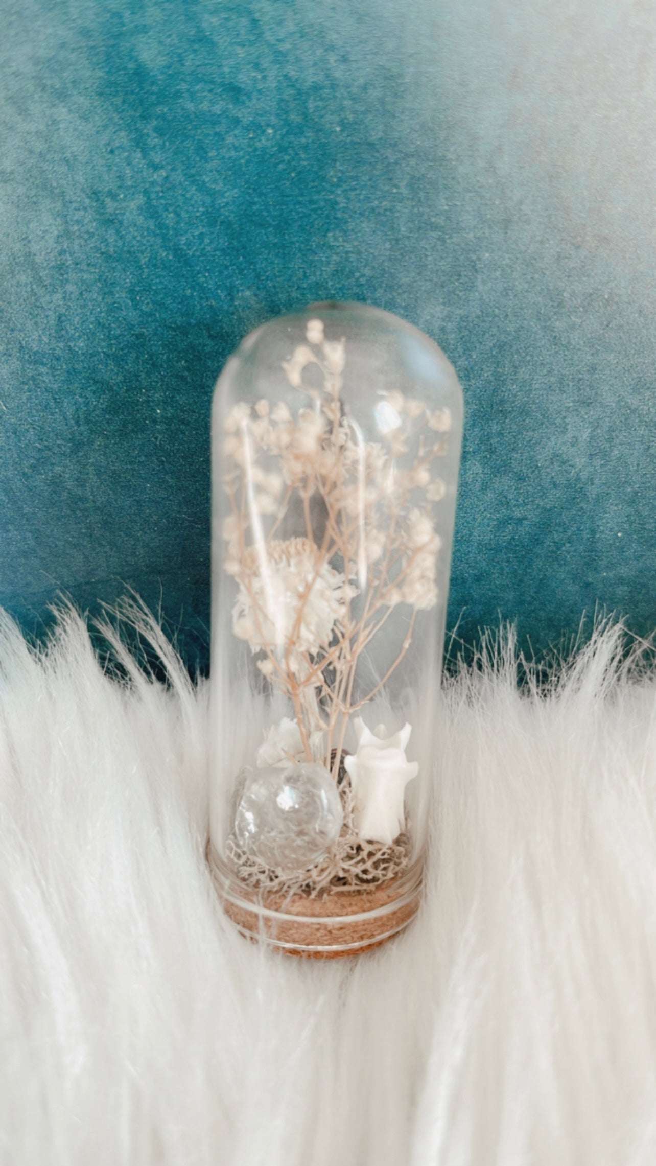 Lilly Terrarium