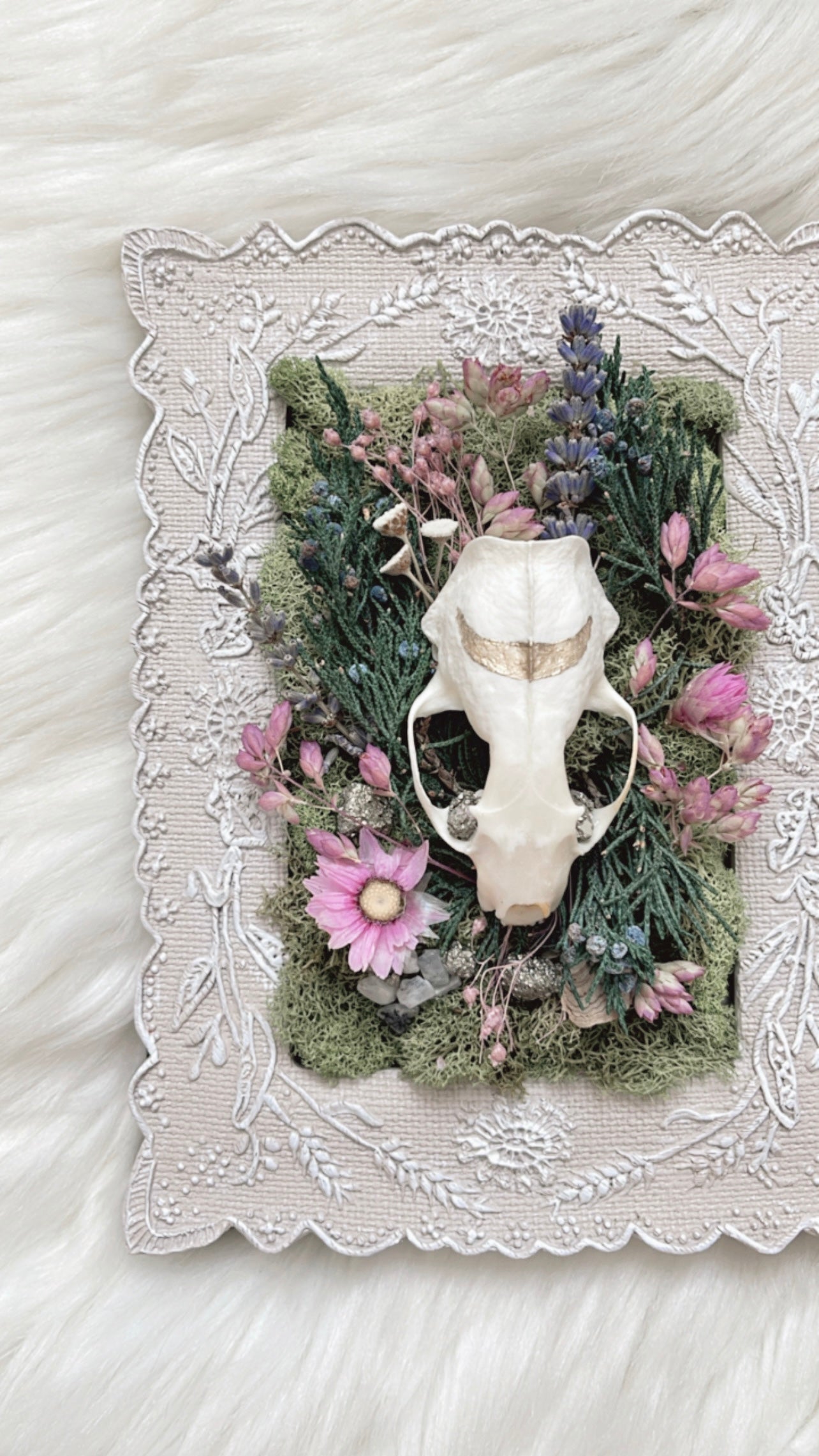 Lily Oddities Frame <Mink Skull>