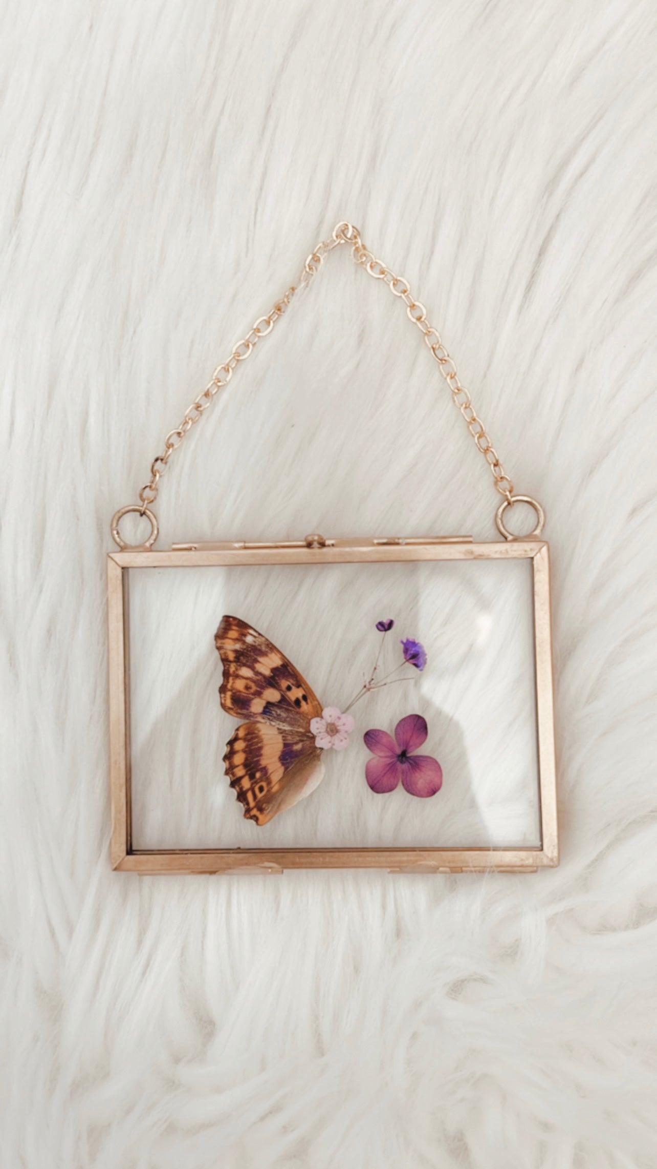 Lindsey Butterfly Floral Frame