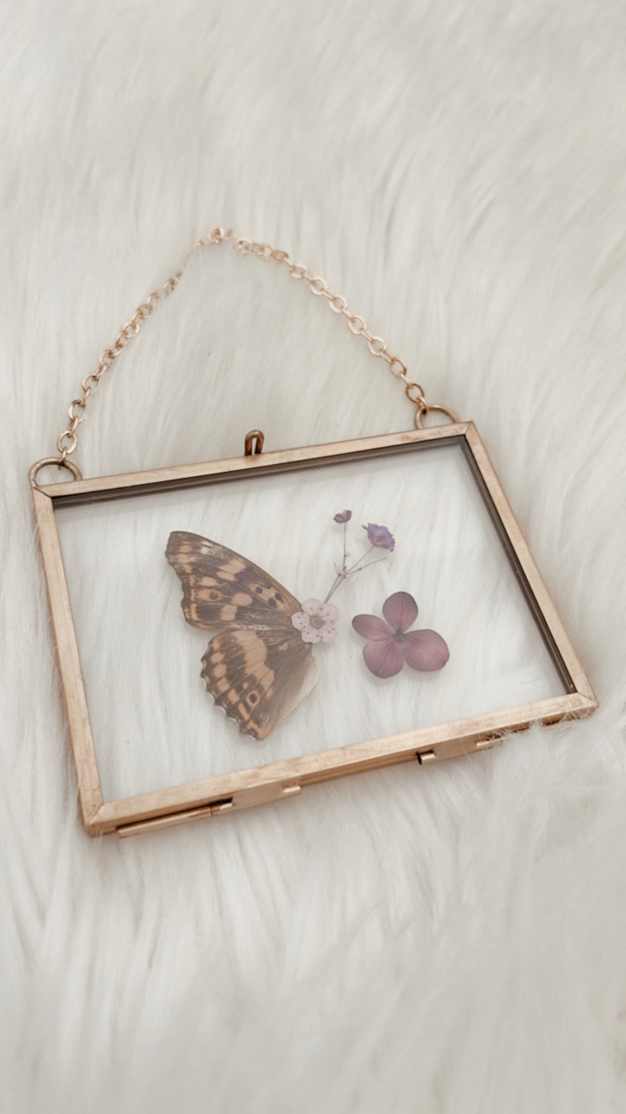 Lindsey Butterfly Floral Frame