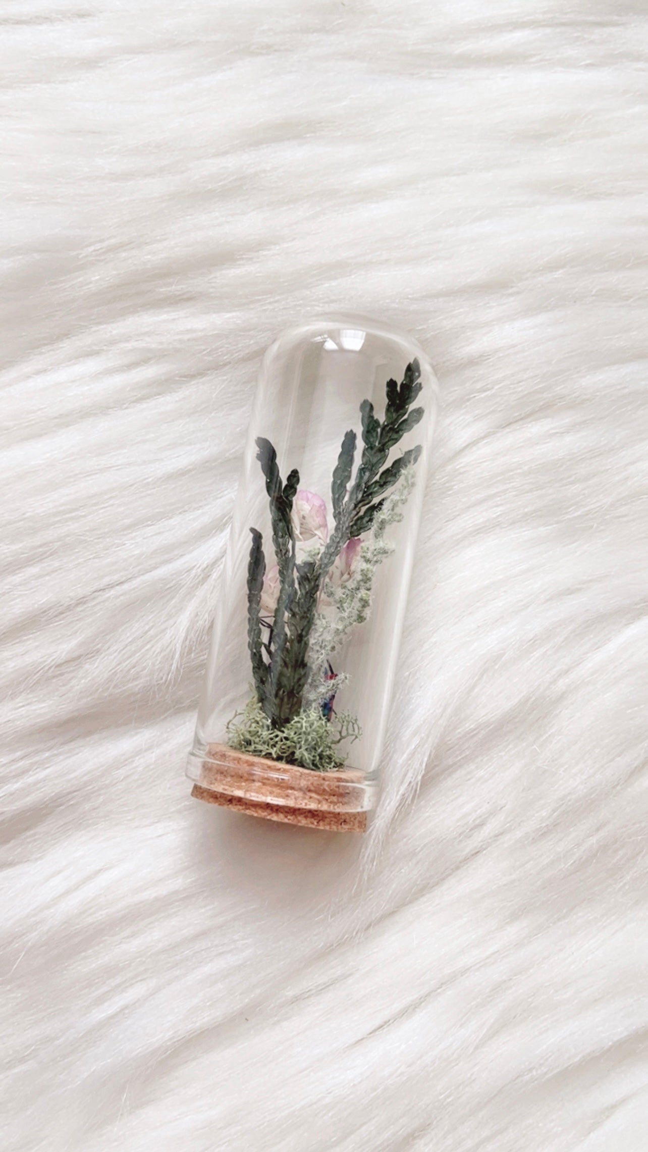Liv Terrarium