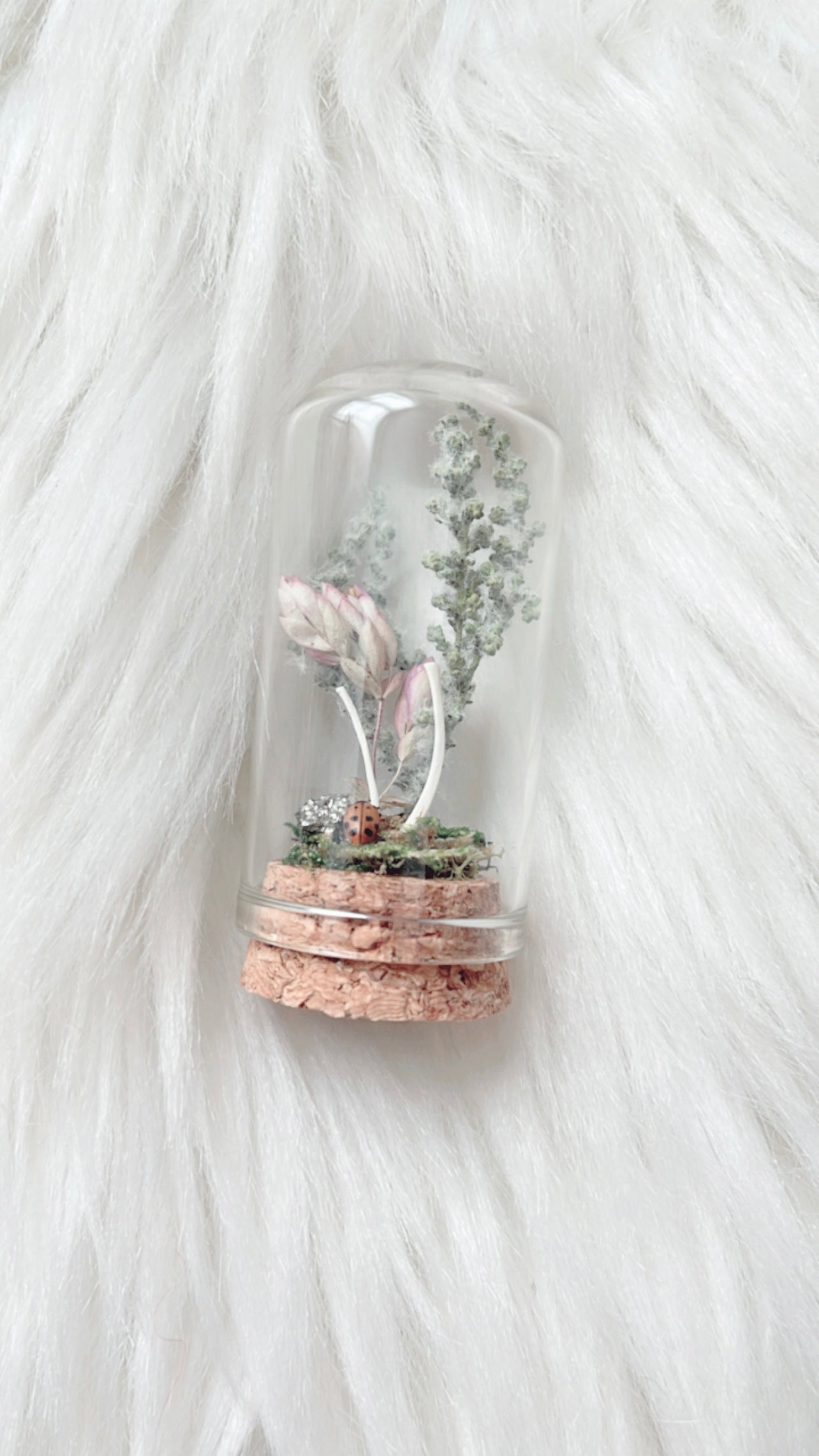 Lizzie Terrarium