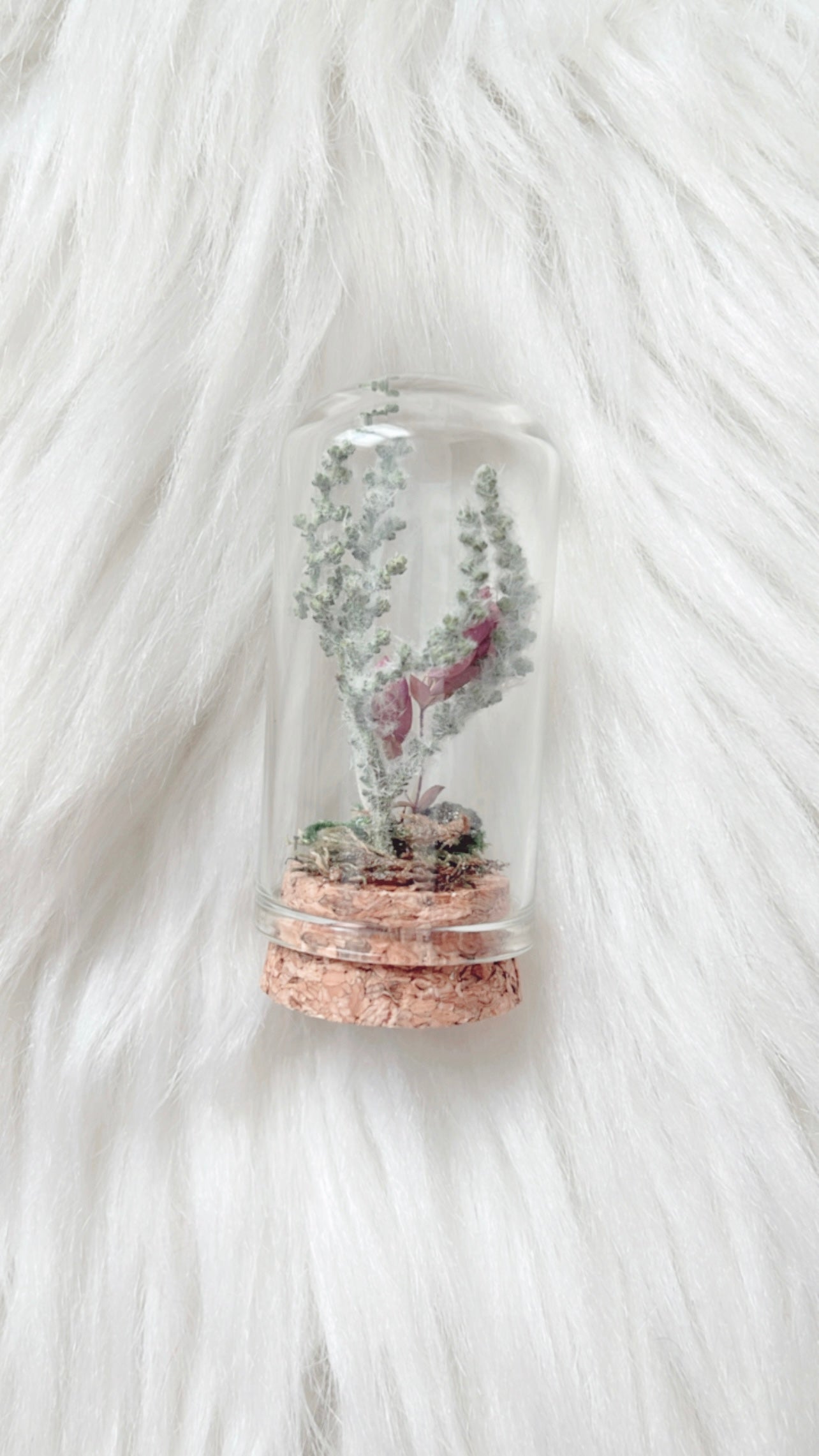 Lizzie Terrarium