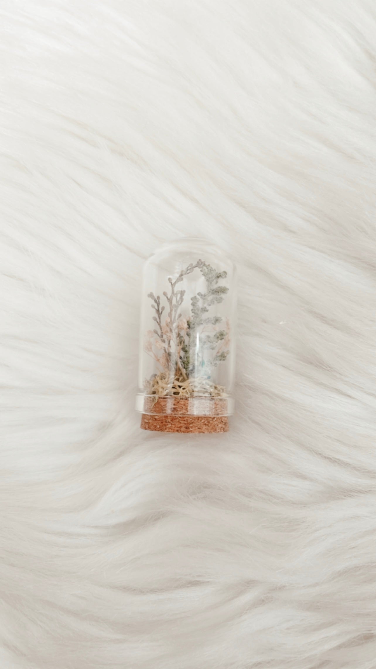 Lizzie Mini Terrarium