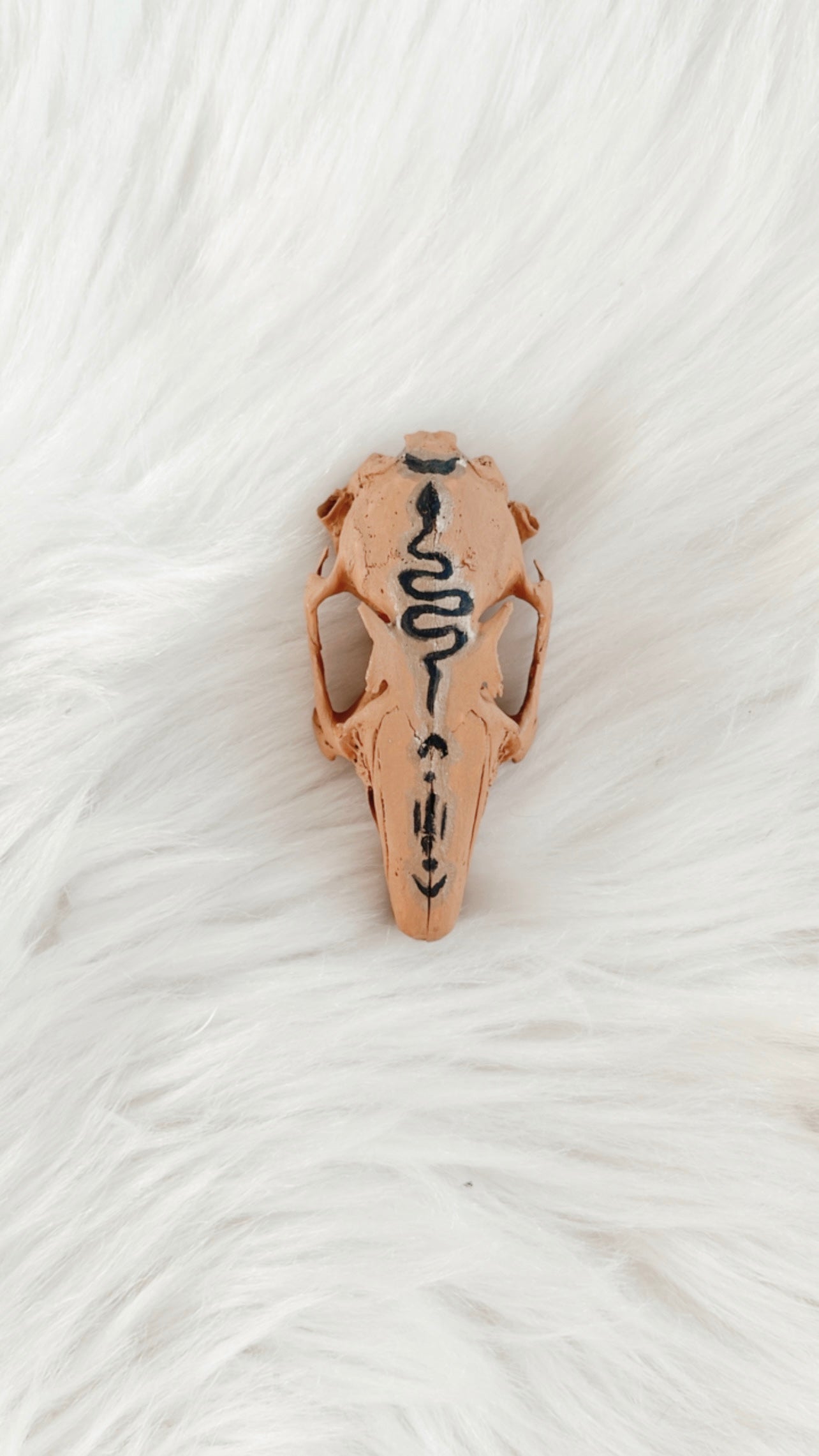 Loki Rabbit Skull