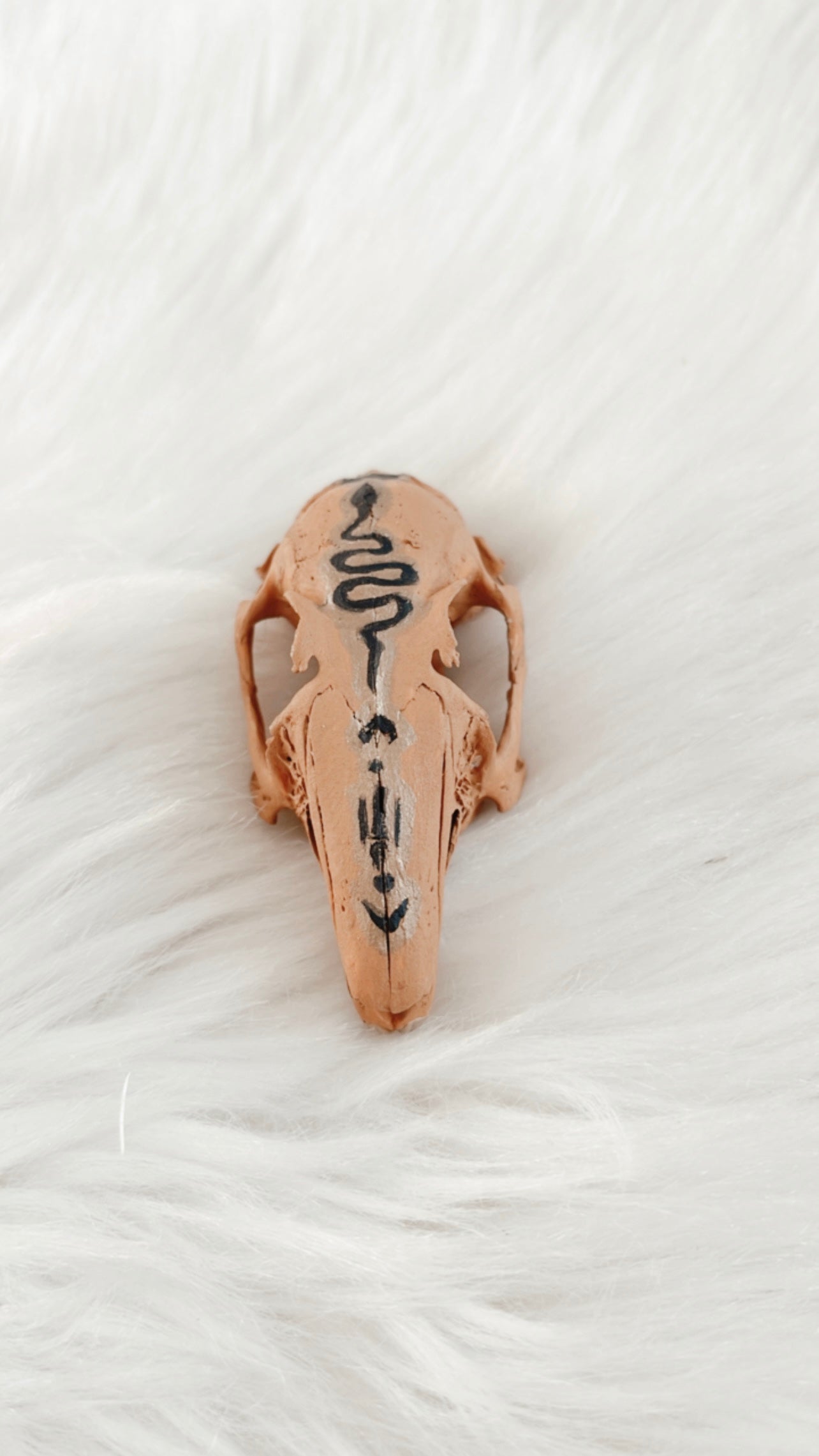 Loki Rabbit Skull